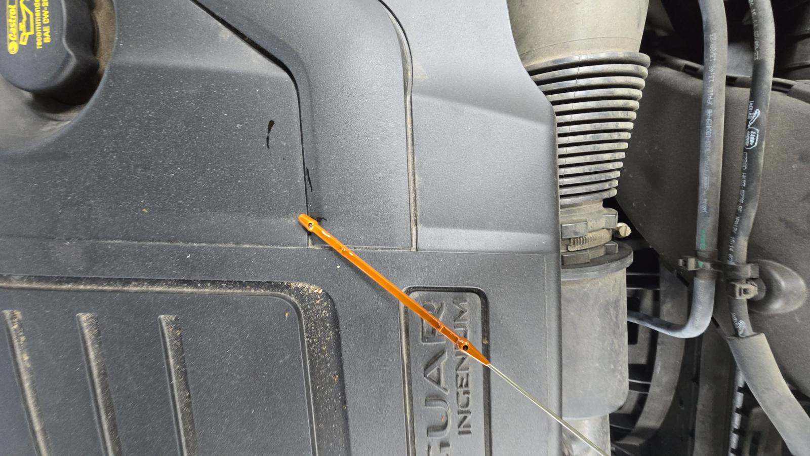 2024 Jaguar F-PACE P250 R-Dynamic S AWD