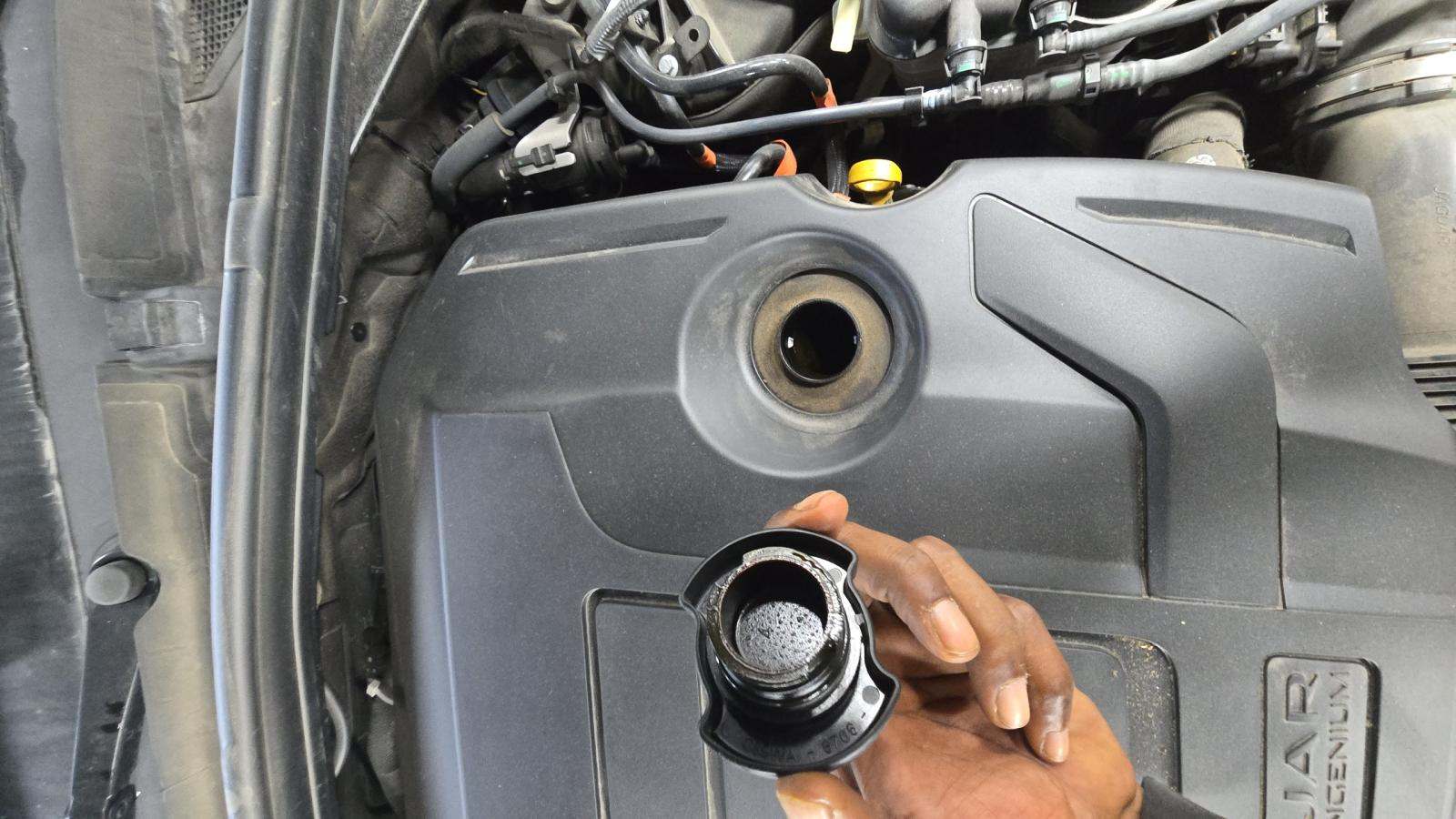 2024 Jaguar F-PACE P250 R-Dynamic S AWD