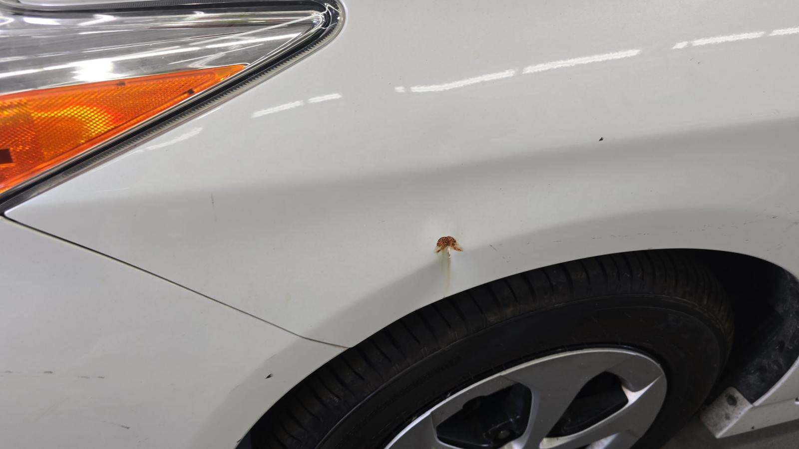 2015 Toyota Prius Four FWD