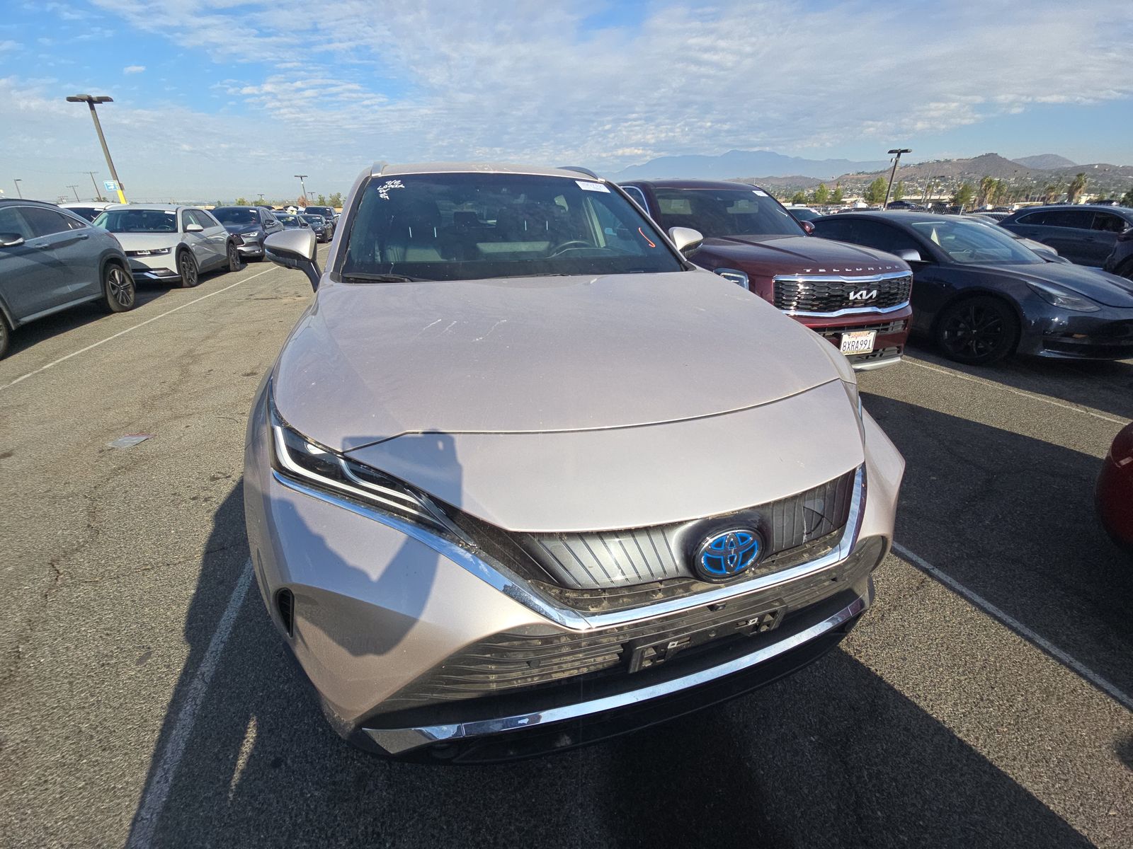 2024 Toyota Venza Limited AWD