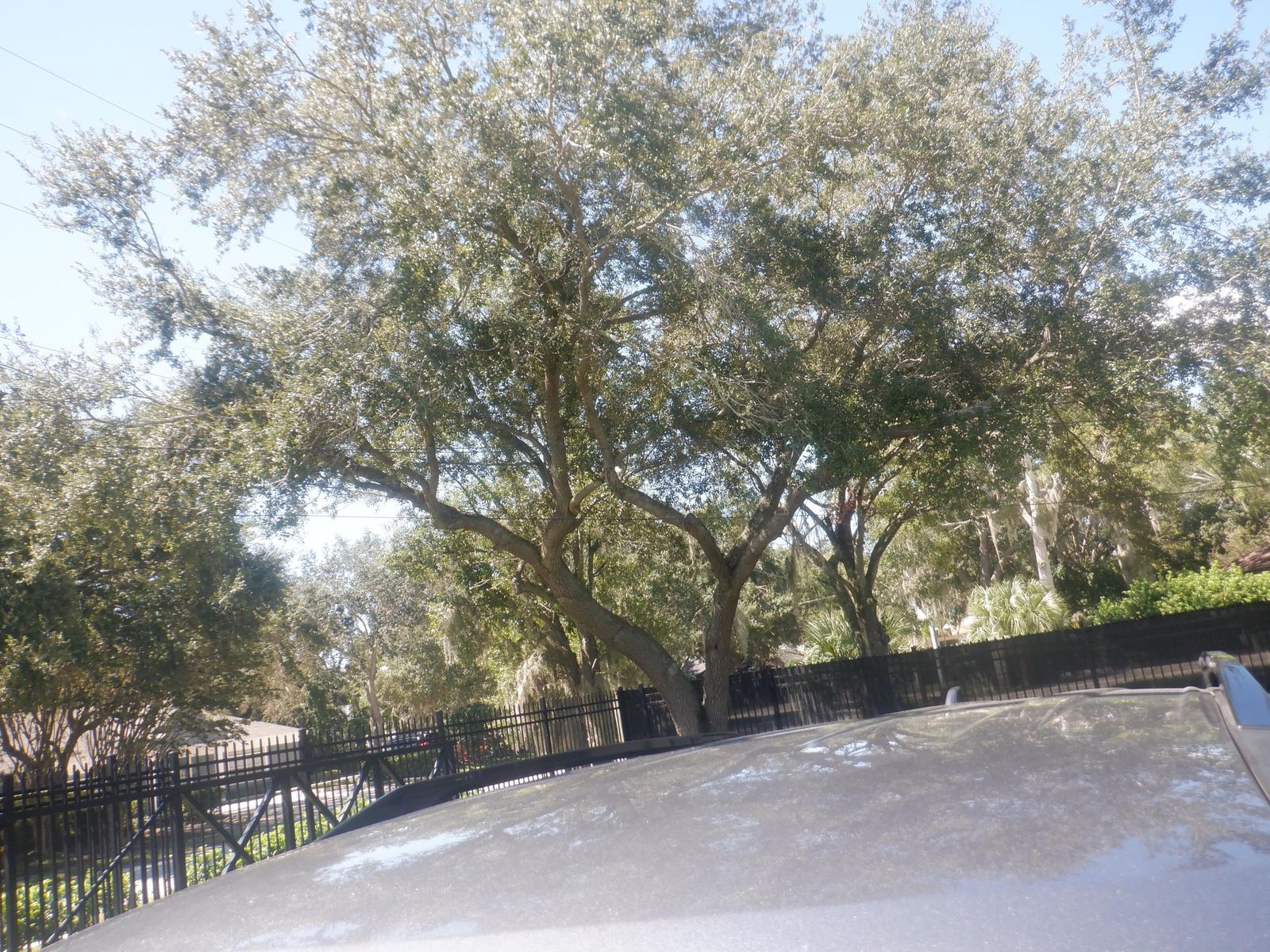 2024 Nissan Pathfinder SV FWD