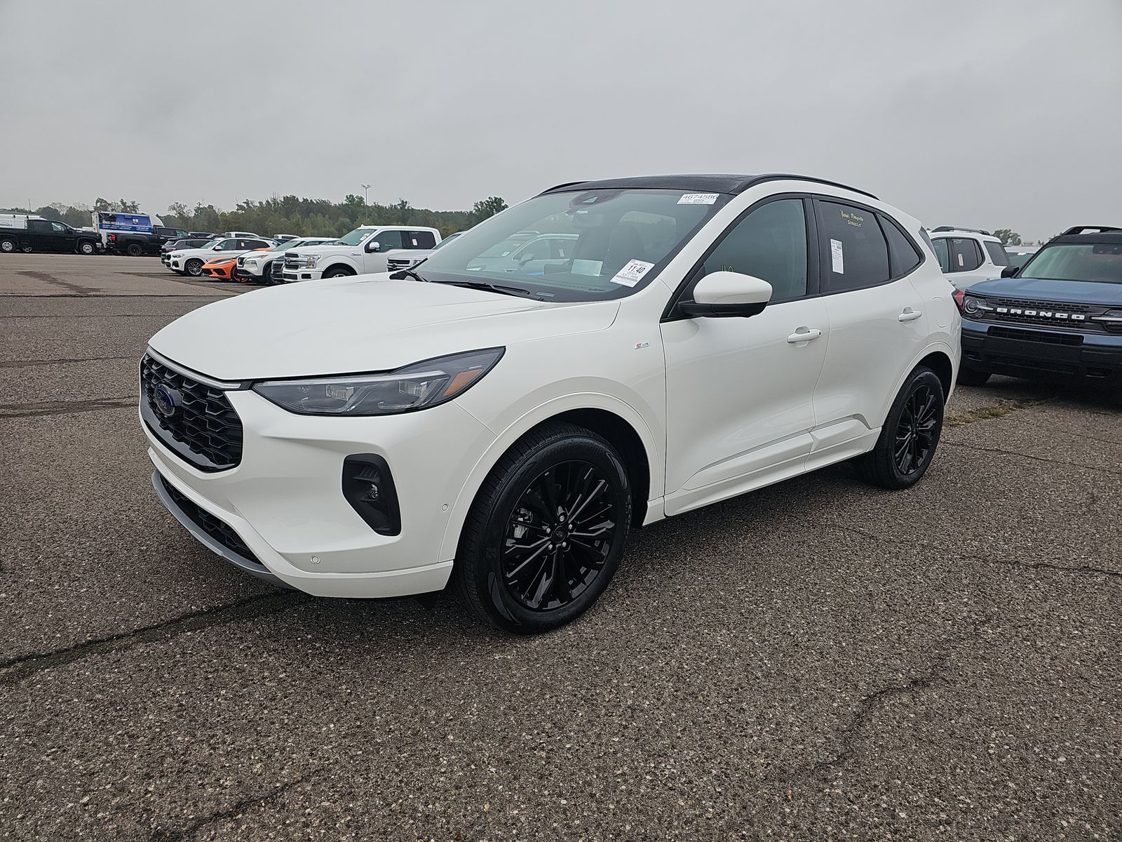 2024 Ford Escape ST-Line Elite AWD