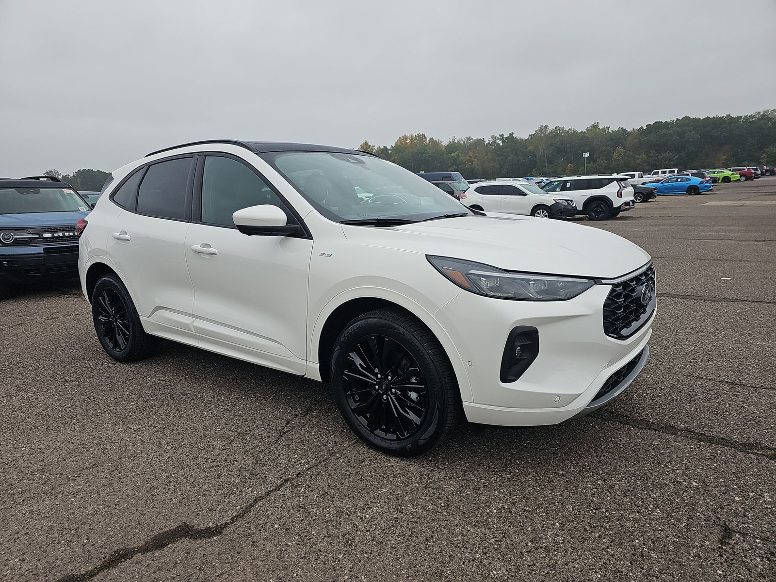 2024 Ford Escape ST-Line Elite AWD