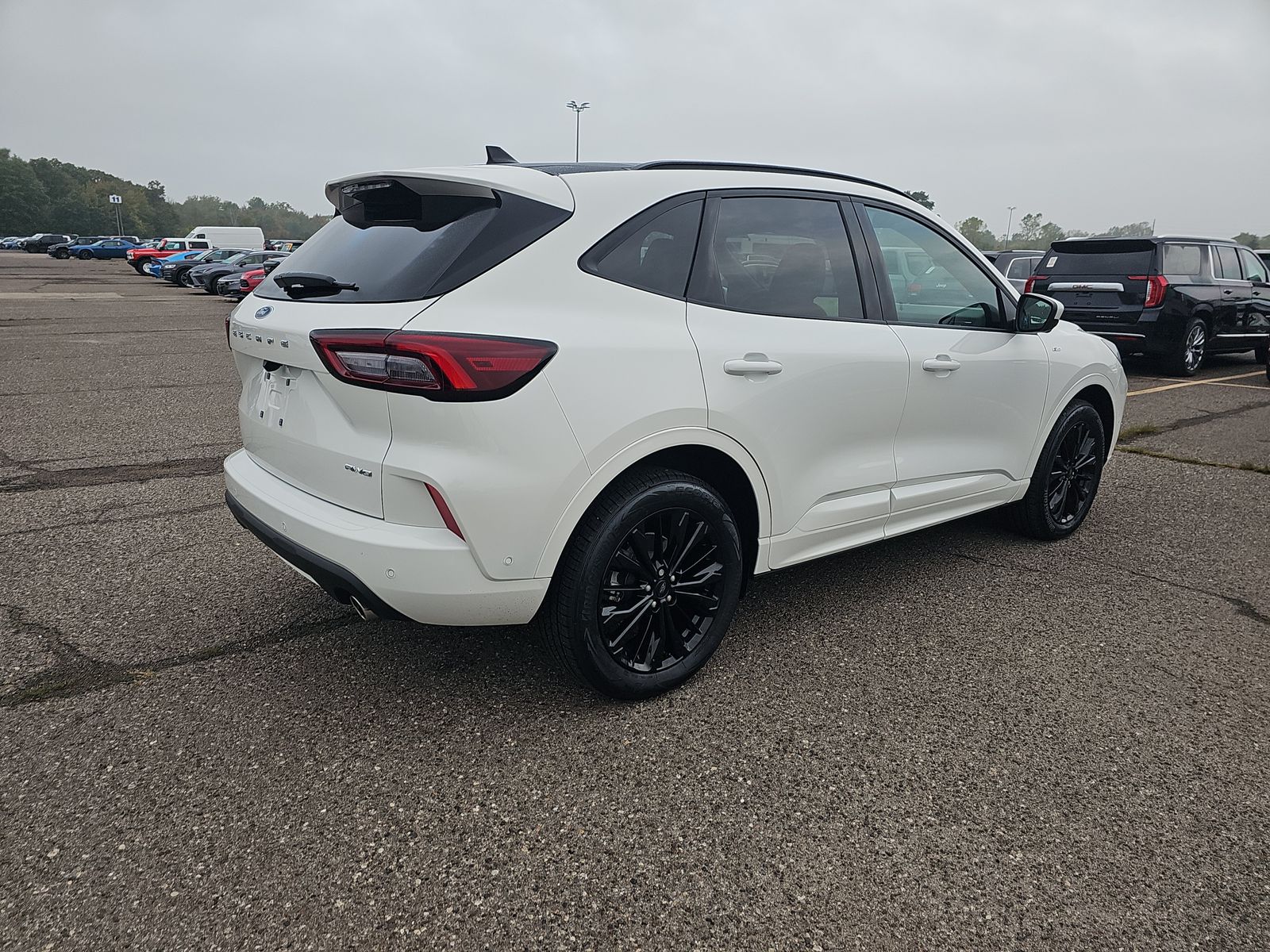2024 Ford Escape ST-Line Elite AWD