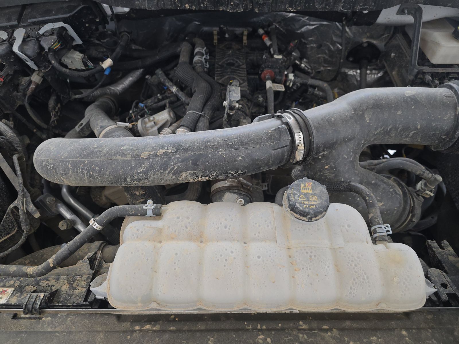 2024 Ford F-150 XLT AWD