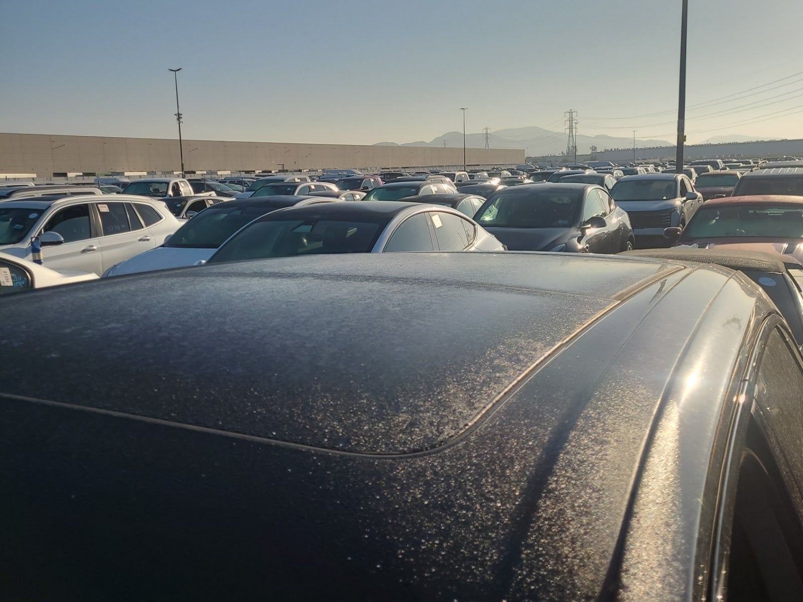 2019 Porsche Cayenne Base AWD