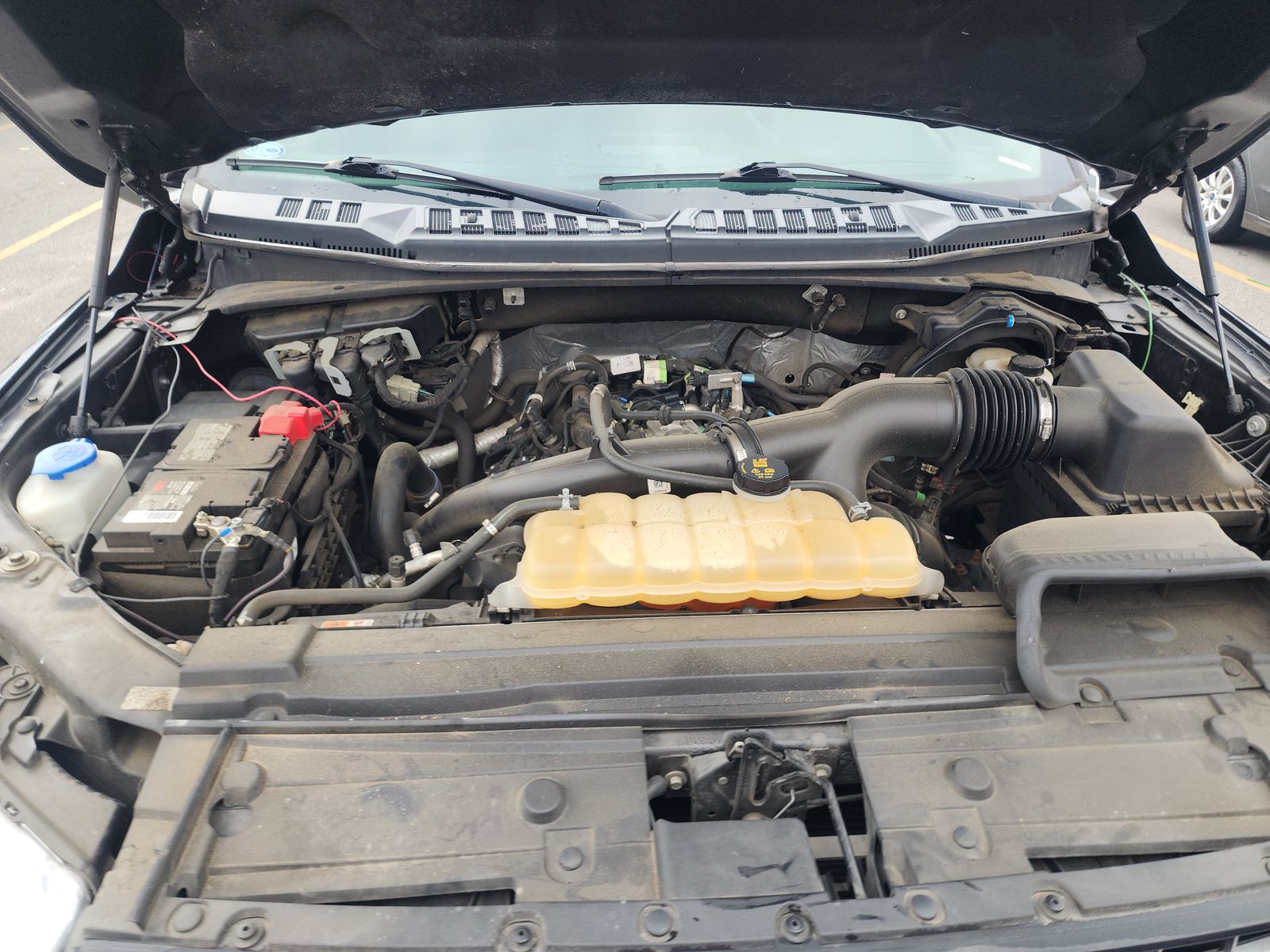 2019 Ford F-150 XLT AWD