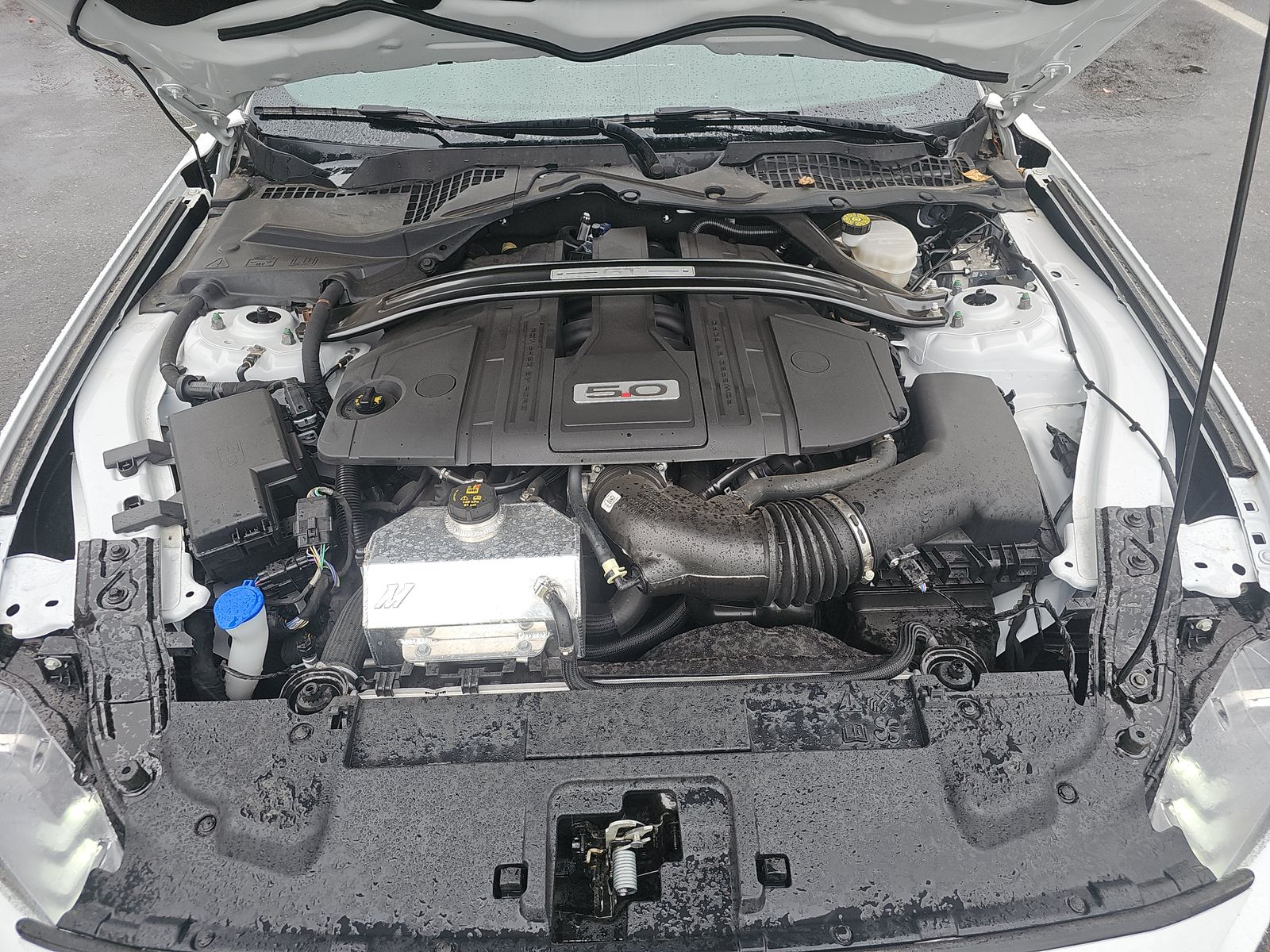 2022 Ford Mustang GT Premium RWD