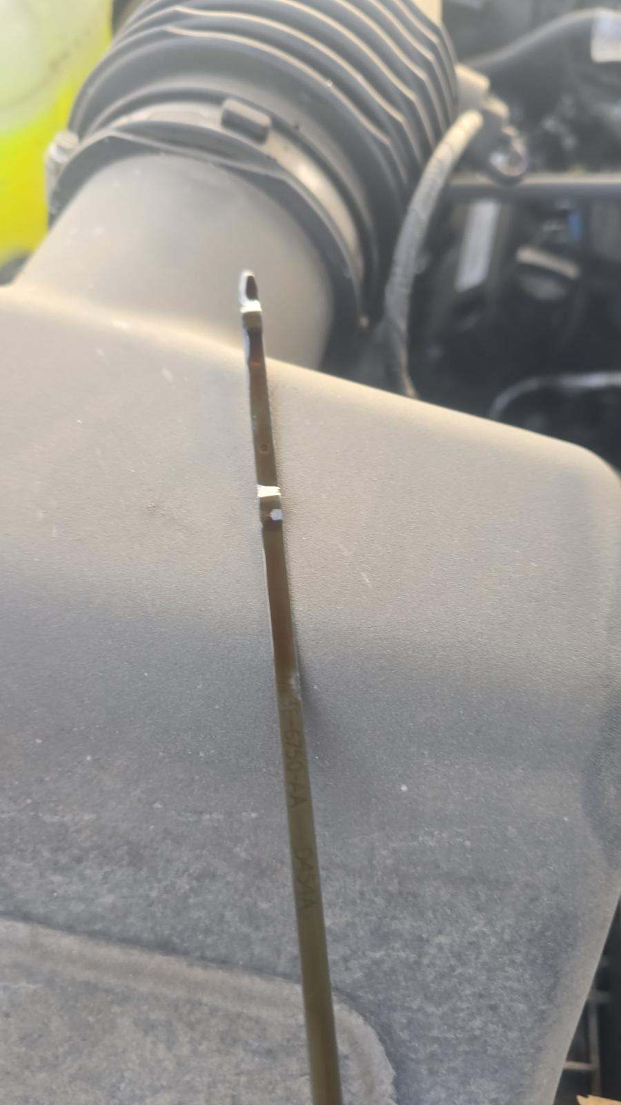 2024 Ford F-150 Hybrid XLT AWD