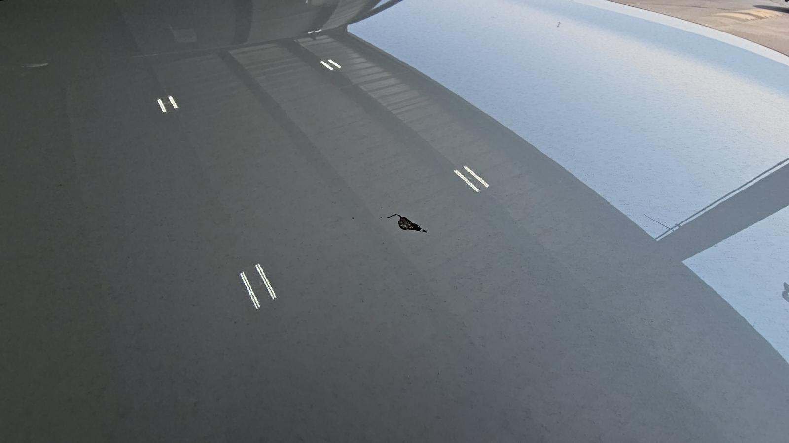 2024 BMW X5 xDrive40i AWD