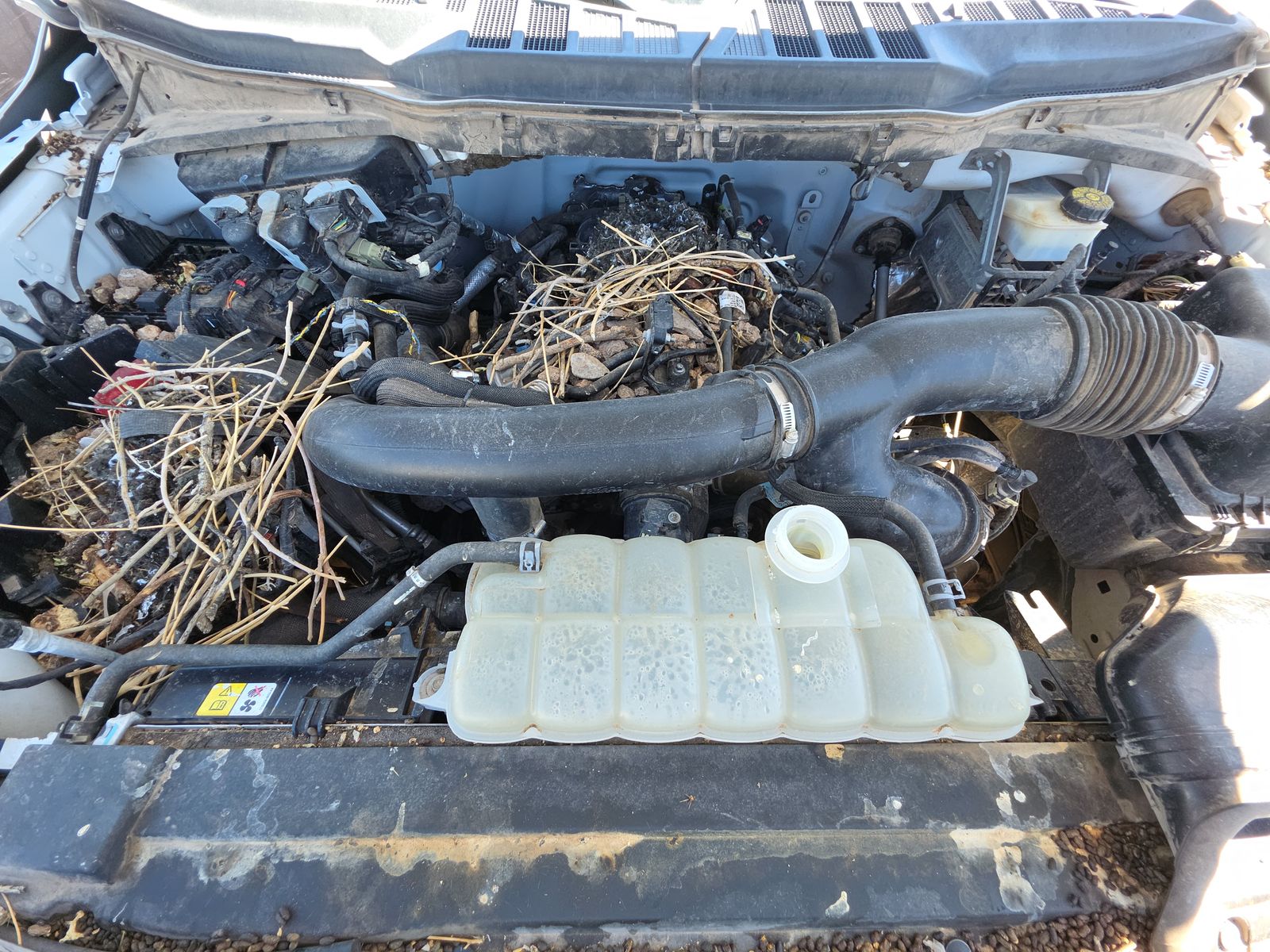 2021 Ford F-150 XL AWD