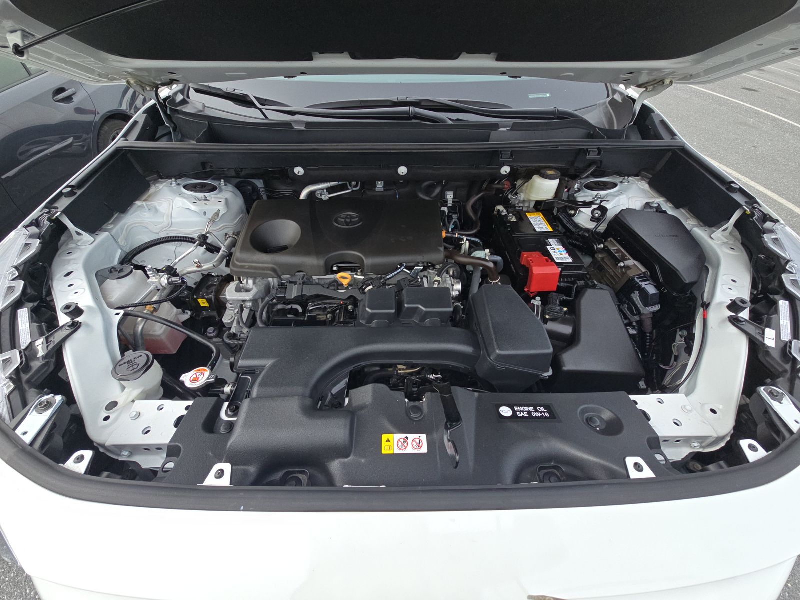 2025 Toyota RAV4 LE FWD