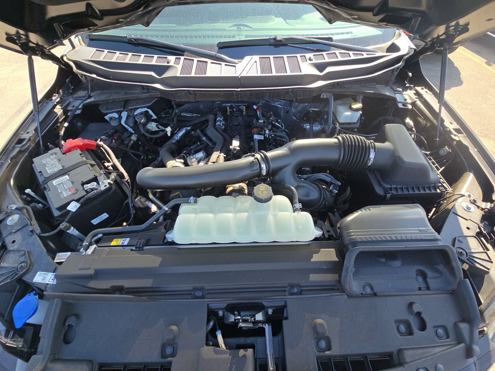 2024 Ford F-150 XLT AWD