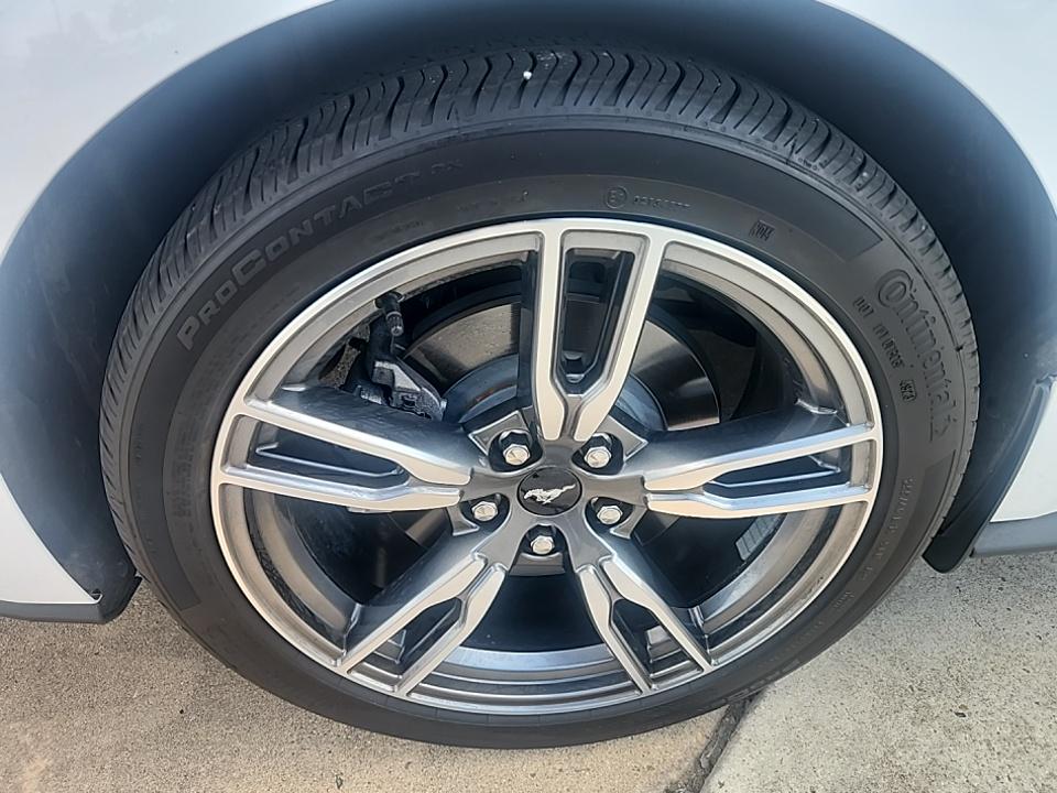 2024 Ford Mustang EcoBoost Premium RWD