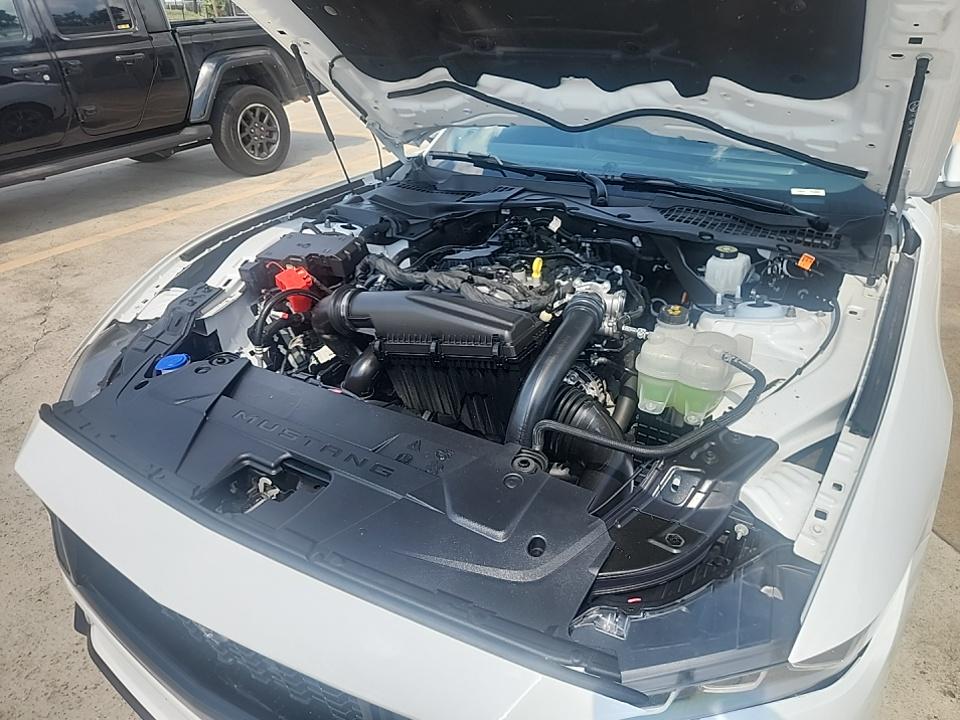 2024 Ford Mustang EcoBoost Premium RWD