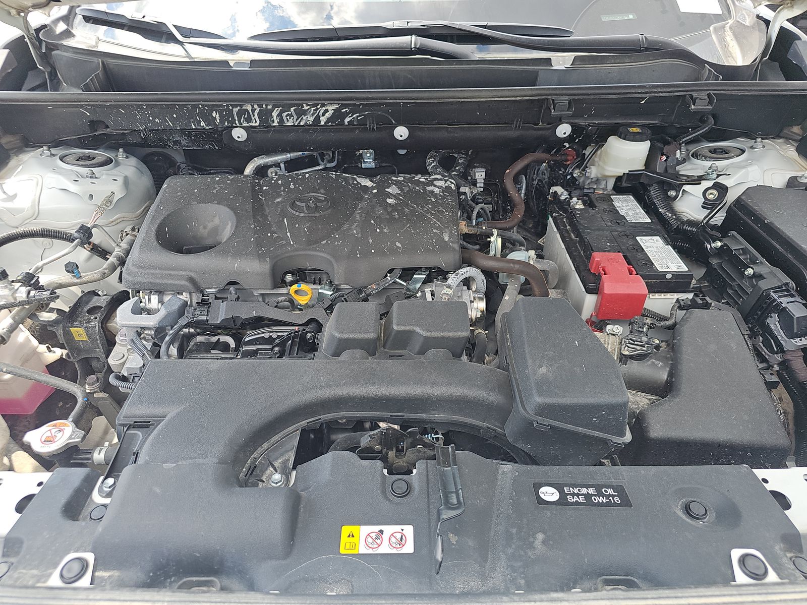 2025 Toyota RAV4 LE FWD