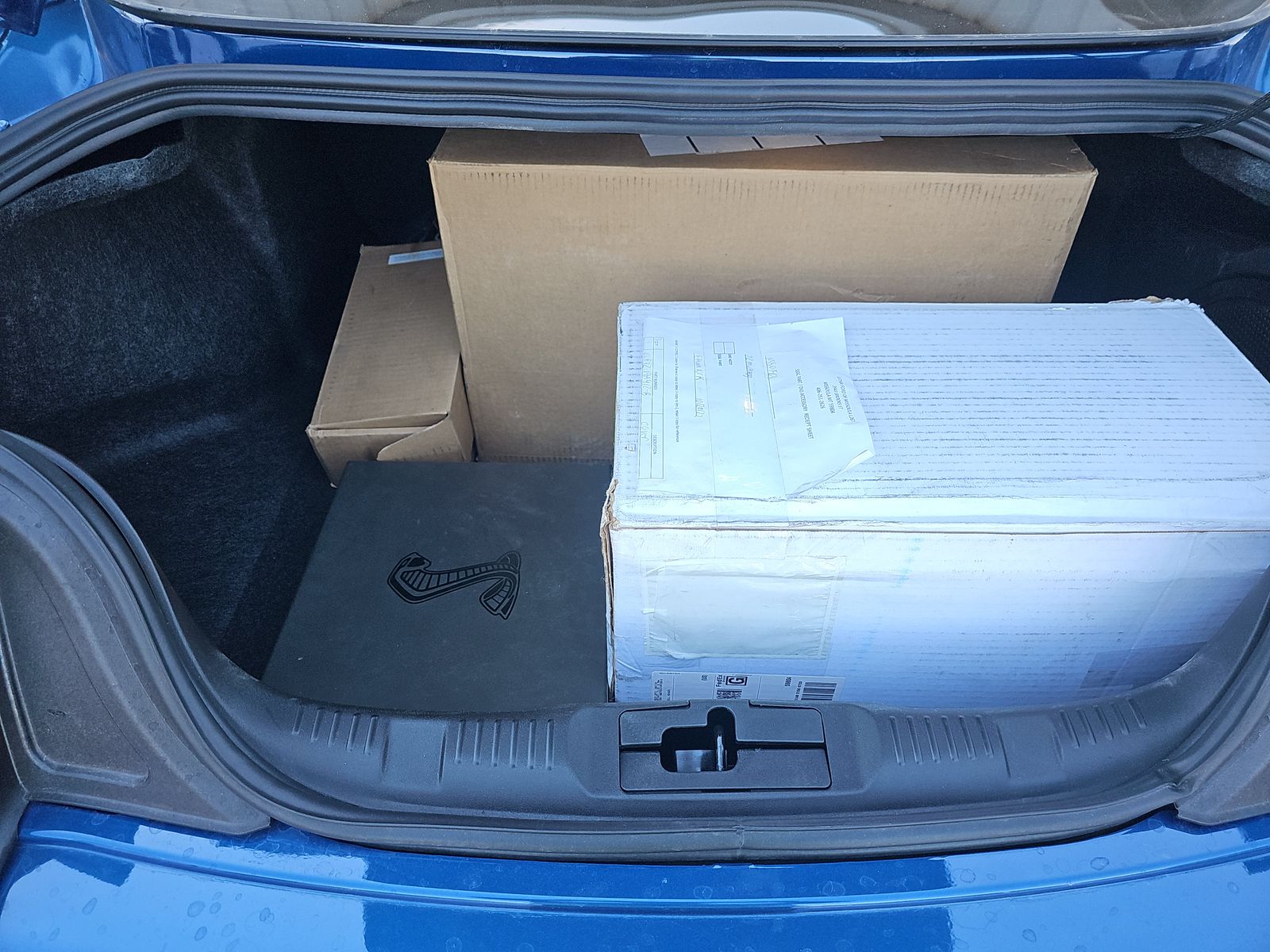 2022 Ford Mustang Shelby GT500 RWD