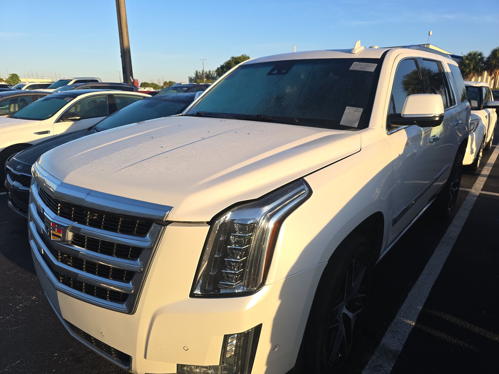 2019 Cadillac Escalade Platinum AWD