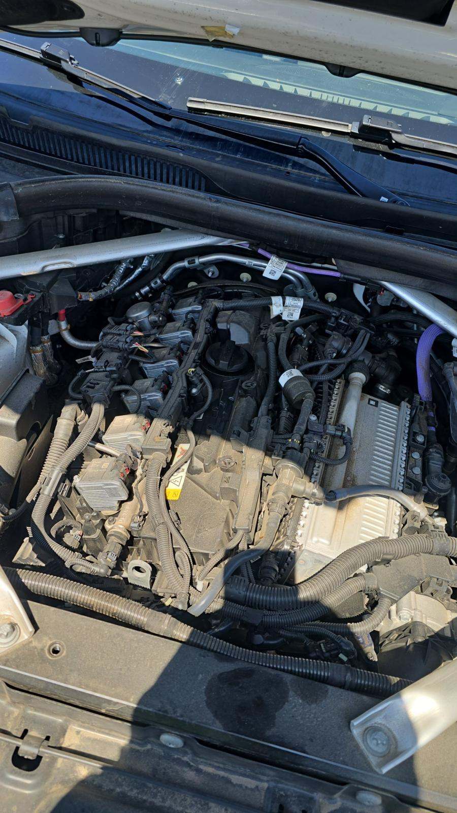 2024 BMW X5 xDrive40i AWD