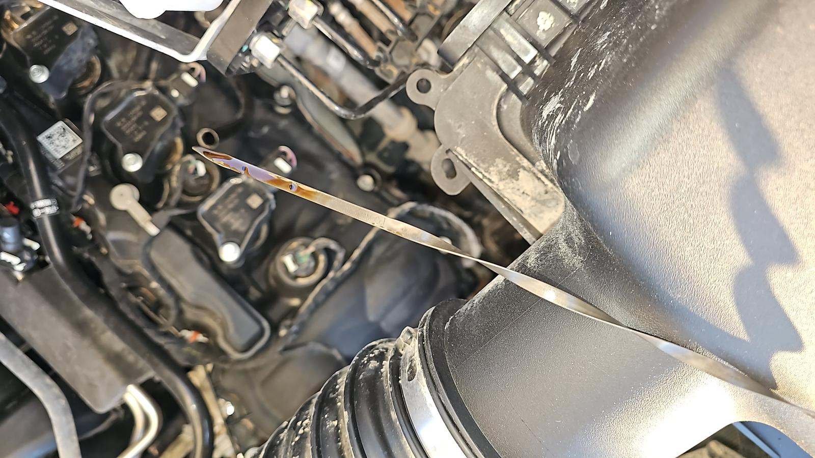 2024 Ford F-150 STX AWD