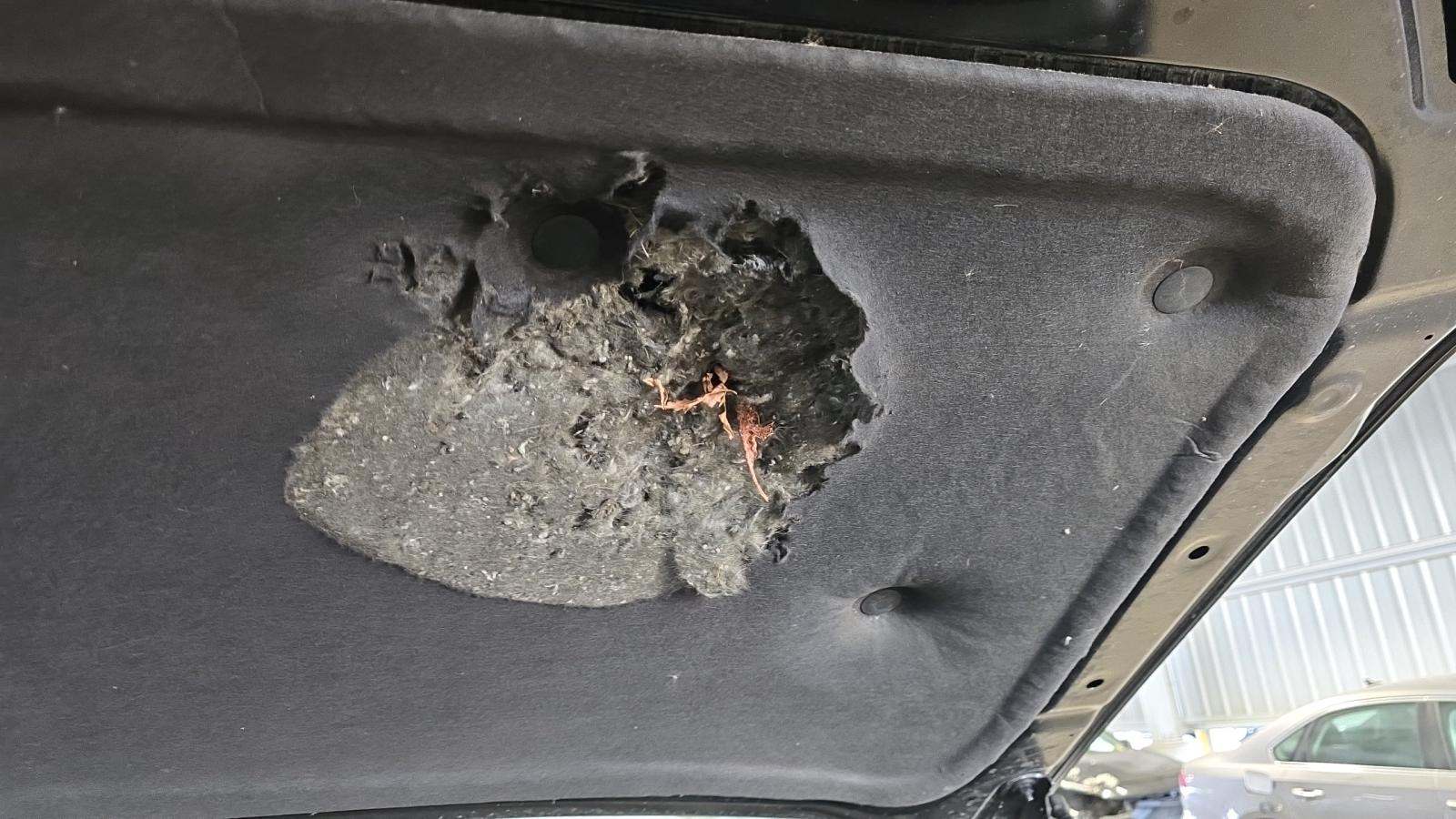 2023 Chevrolet Silverado 1500 RST AWD