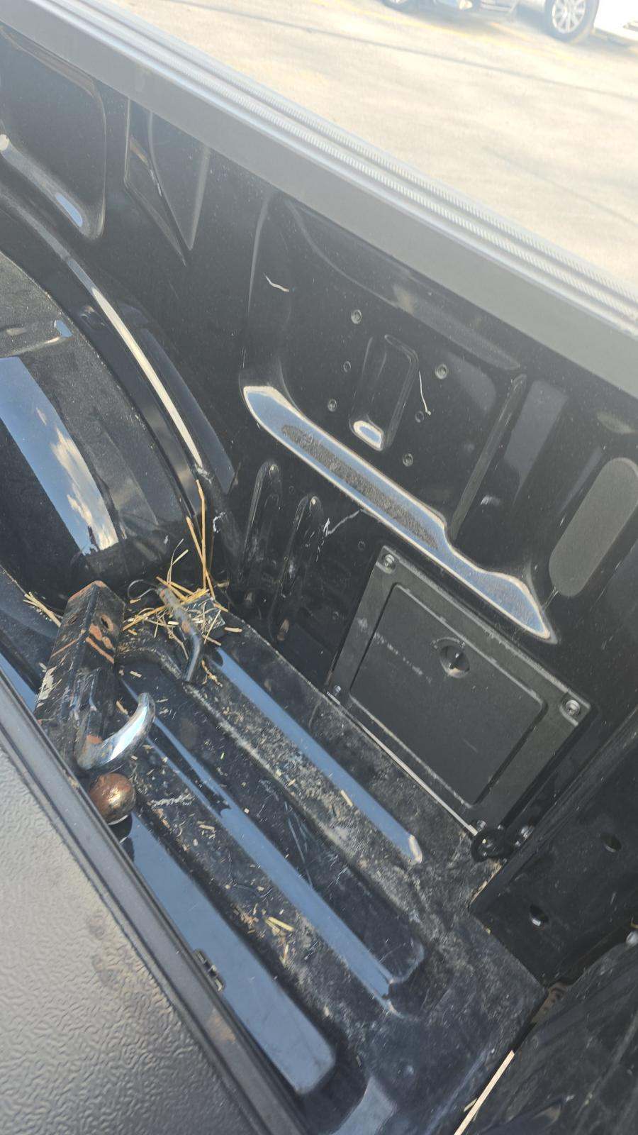 2024 Ford F-150 XLT AWD