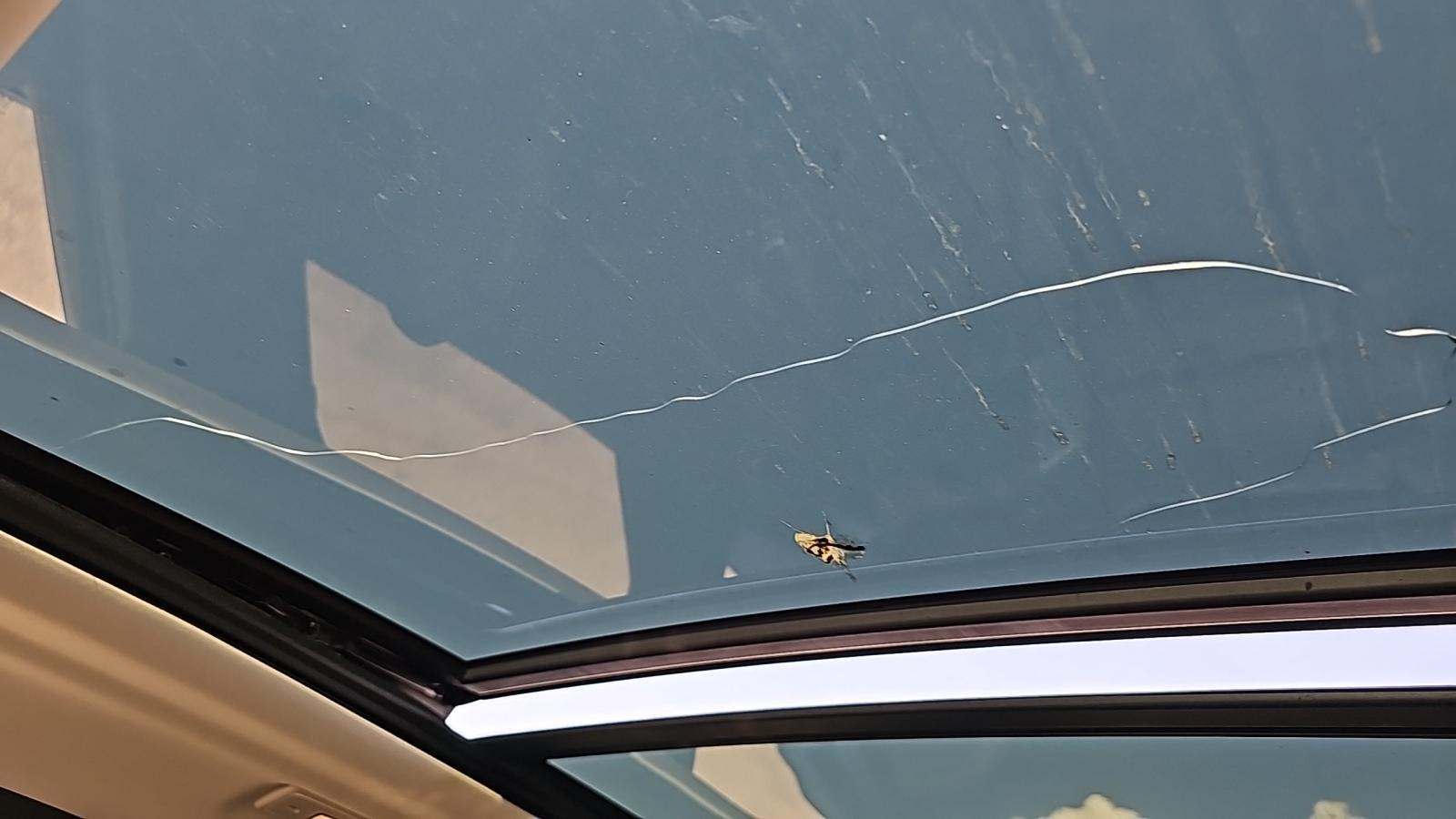 2024 Volvo XC60 B5 Core AWD