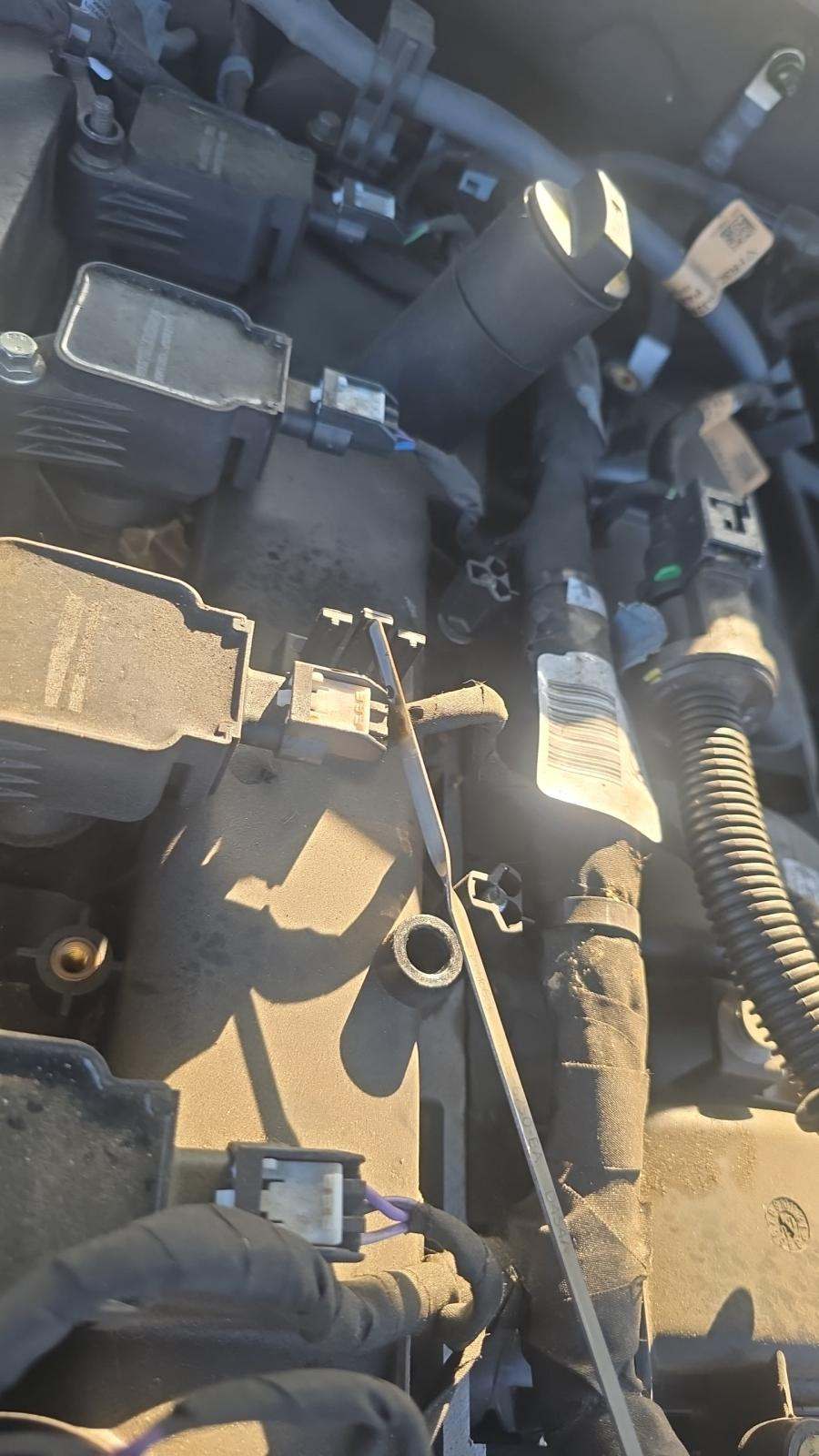 2023 Ford Mustang EcoBoost RWD