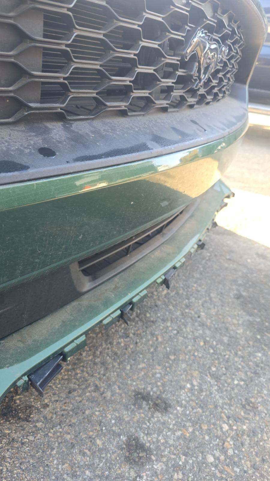 2023 Ford Mustang EcoBoost RWD