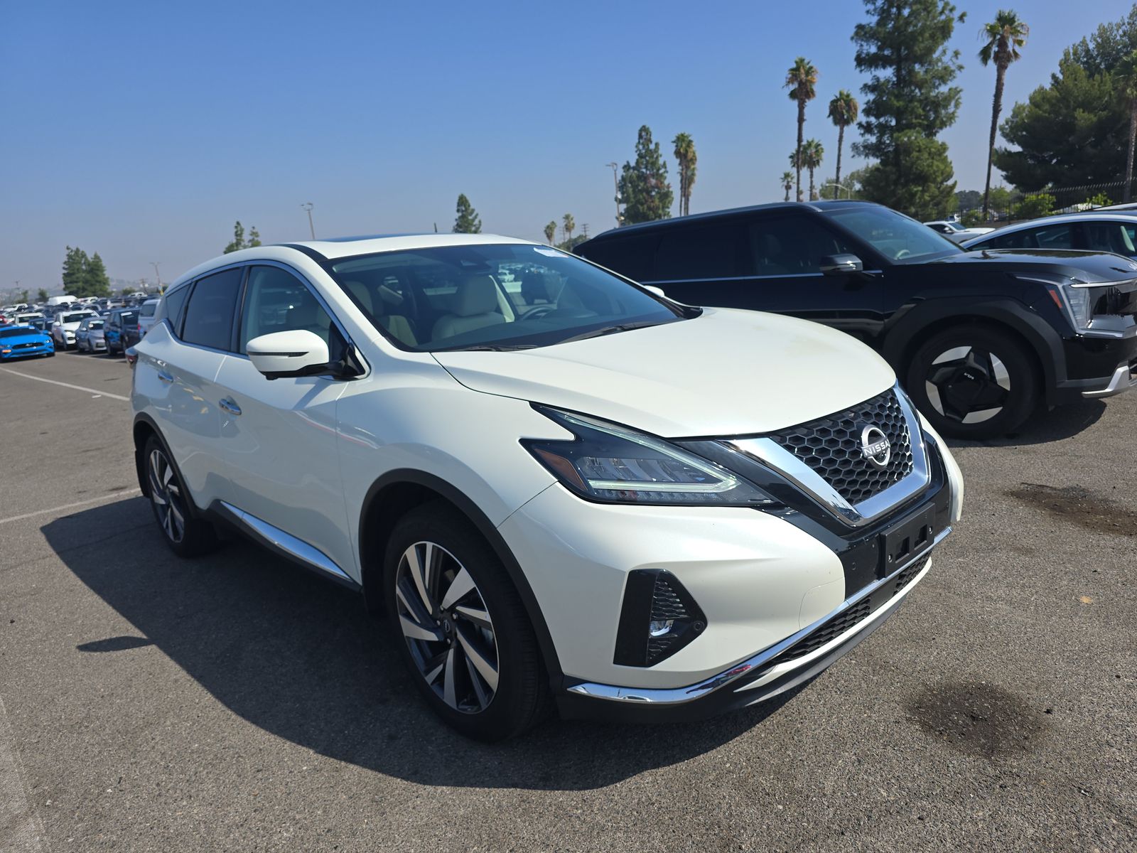 2024 Nissan Murano SL AWD