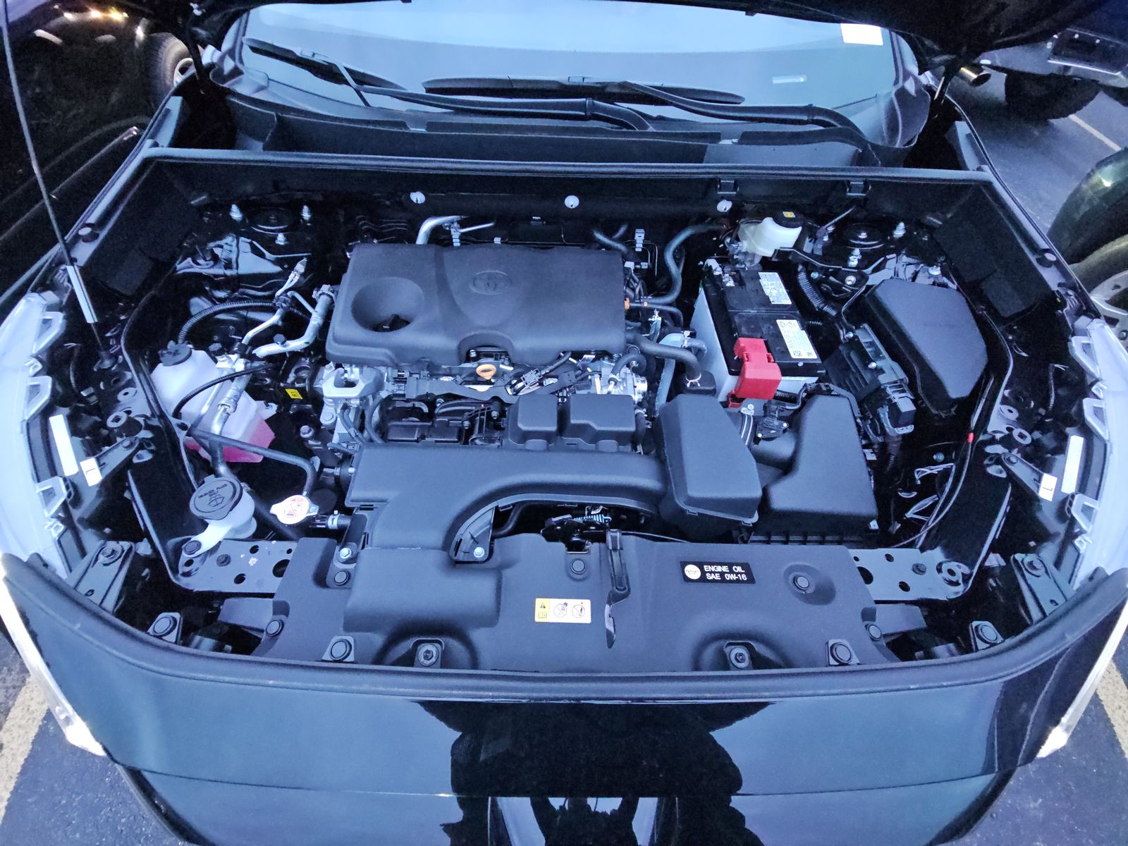 2025 Toyota RAV4 XLE FWD