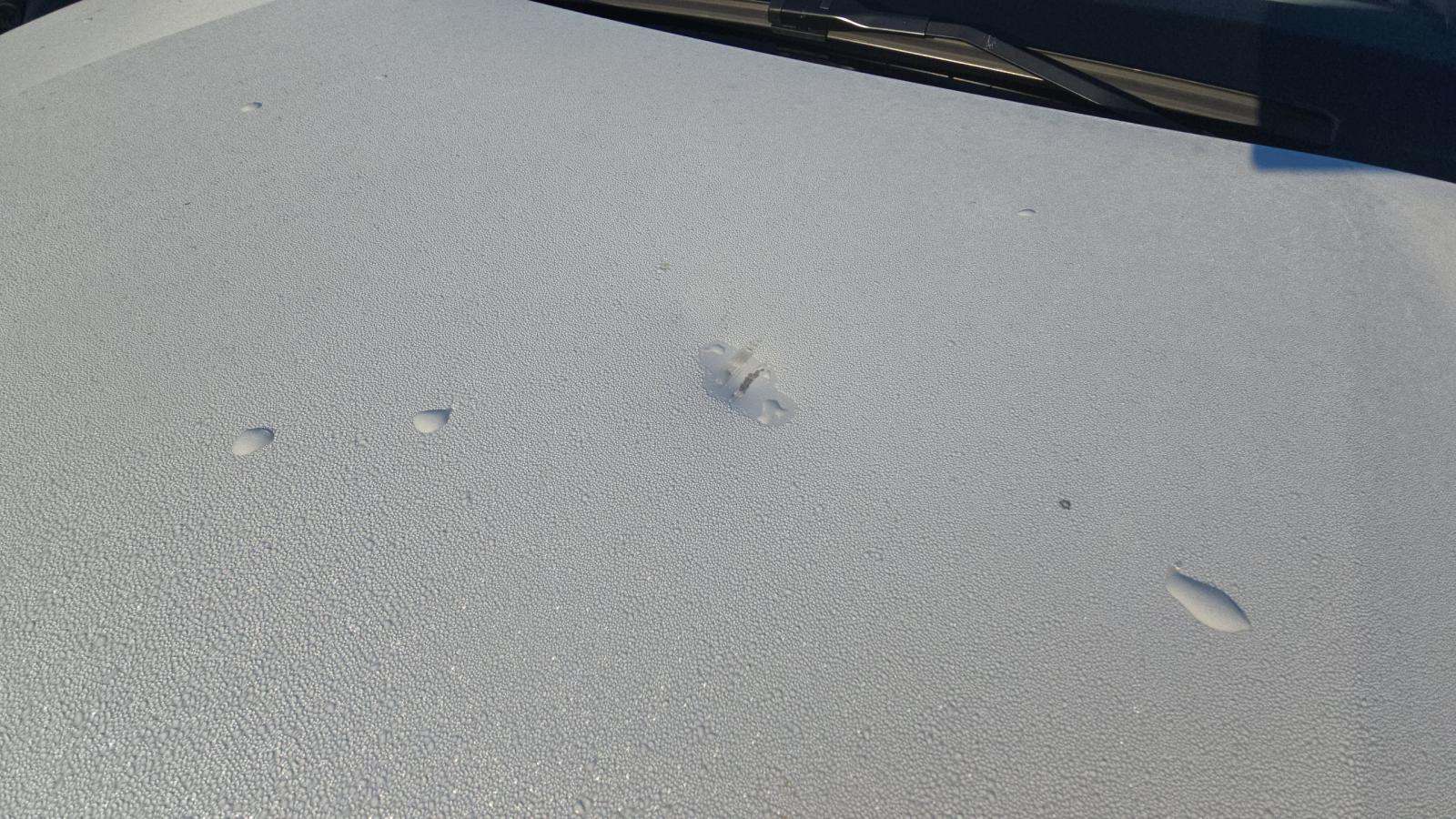 2025 BMW X1 xDrive28i AWD