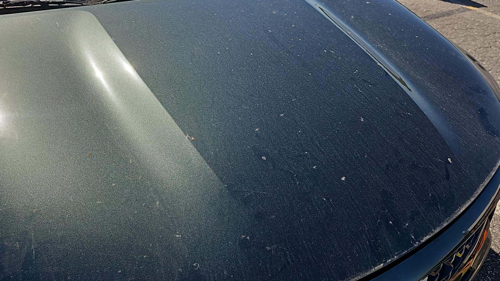 2023 Kia Sorento X-Line S AWD