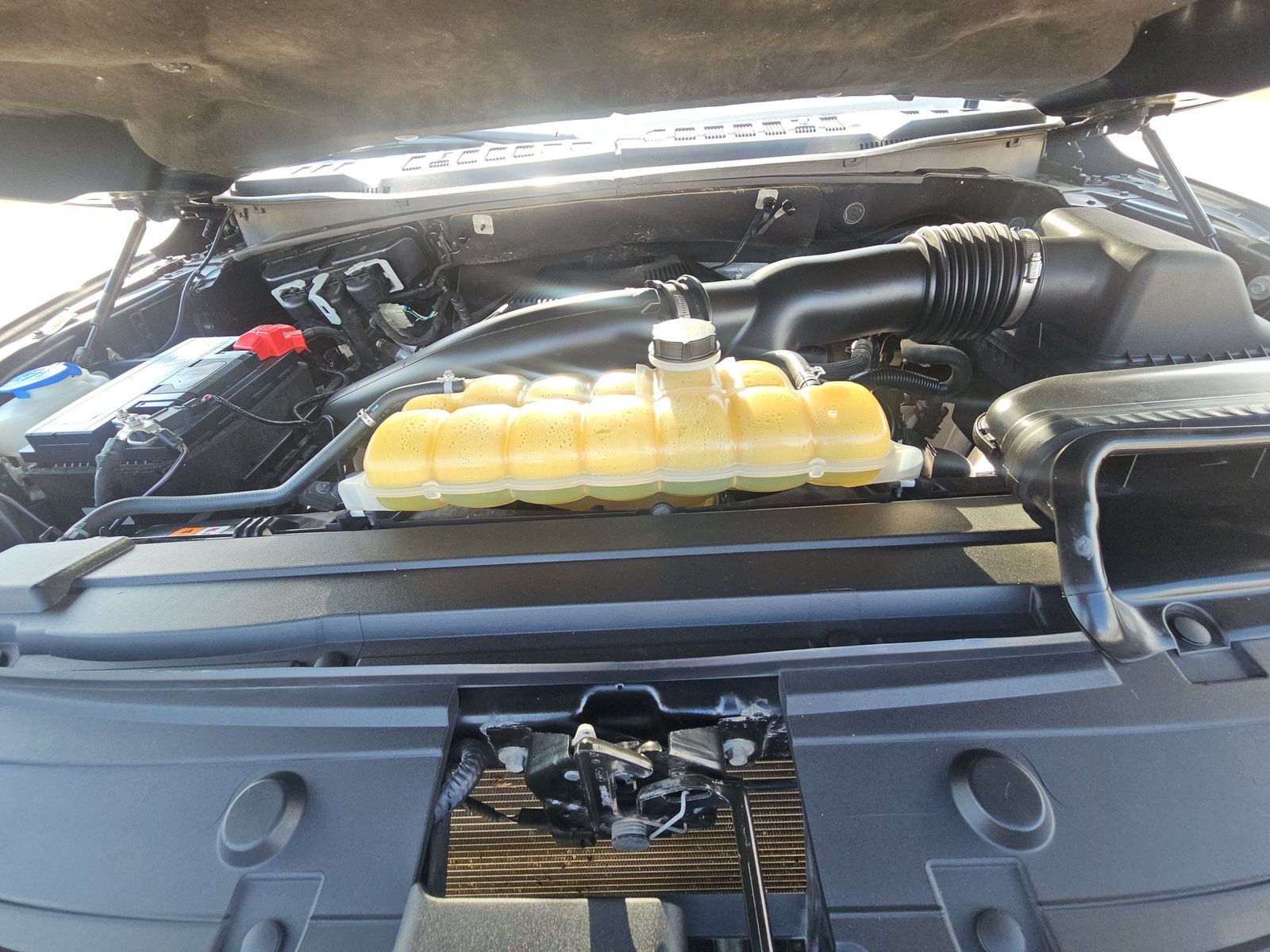 2020 Ford F-150 XLT RWD