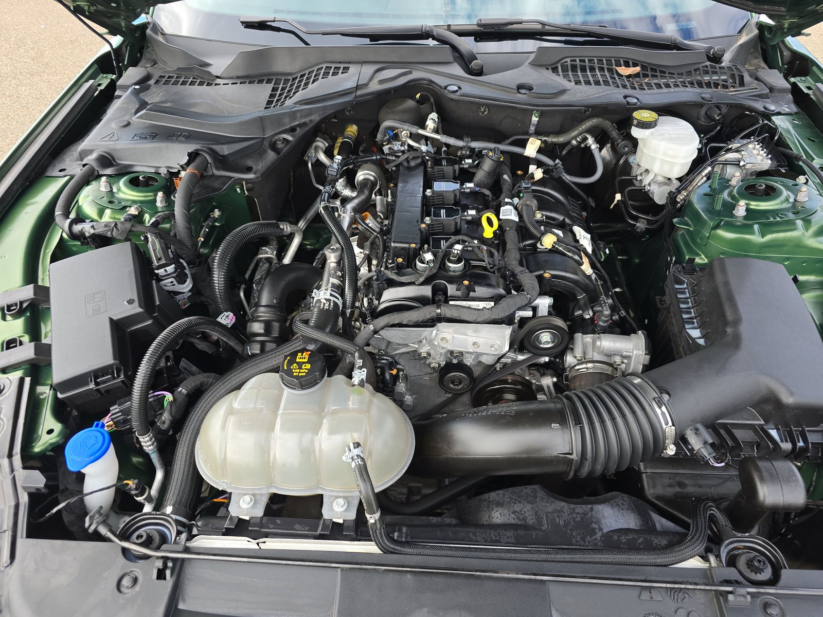 2023 Ford Mustang EcoBoost RWD