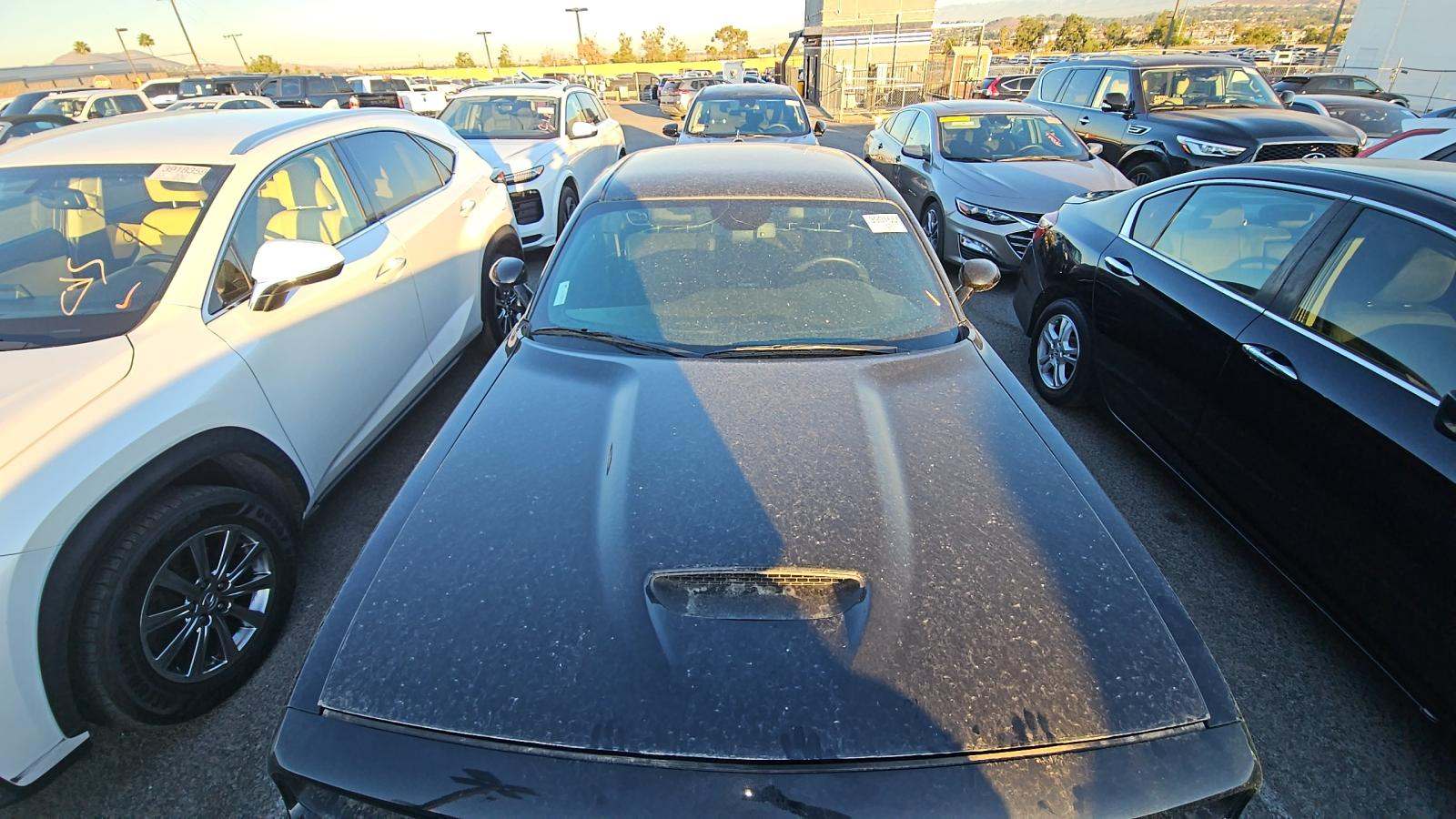 2023 Dodge Challenger R/T RWD