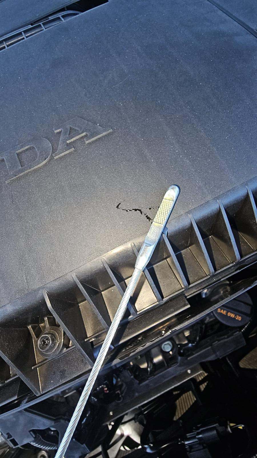 2025 Honda Pilot EX-L AWD