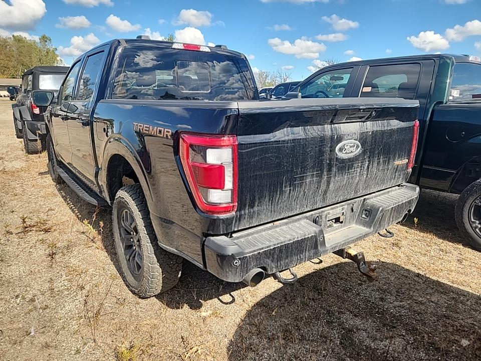 2023 Ford F-150 Tremor AWD