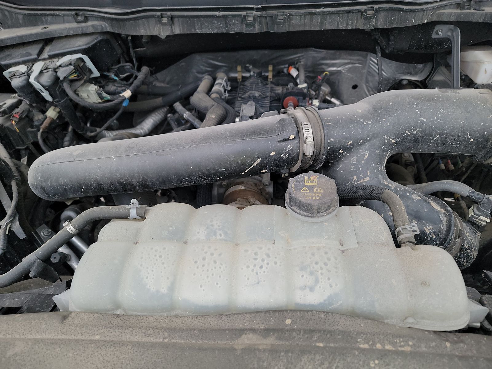 2024 Ford F-150 XLT AWD