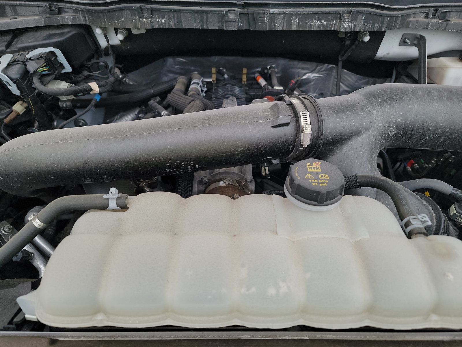 2024 Ford F-150 XLT AWD