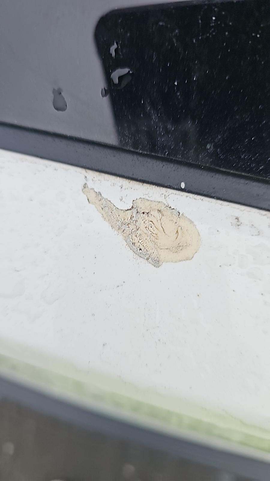 2024 Toyota RAV4 LE AWD