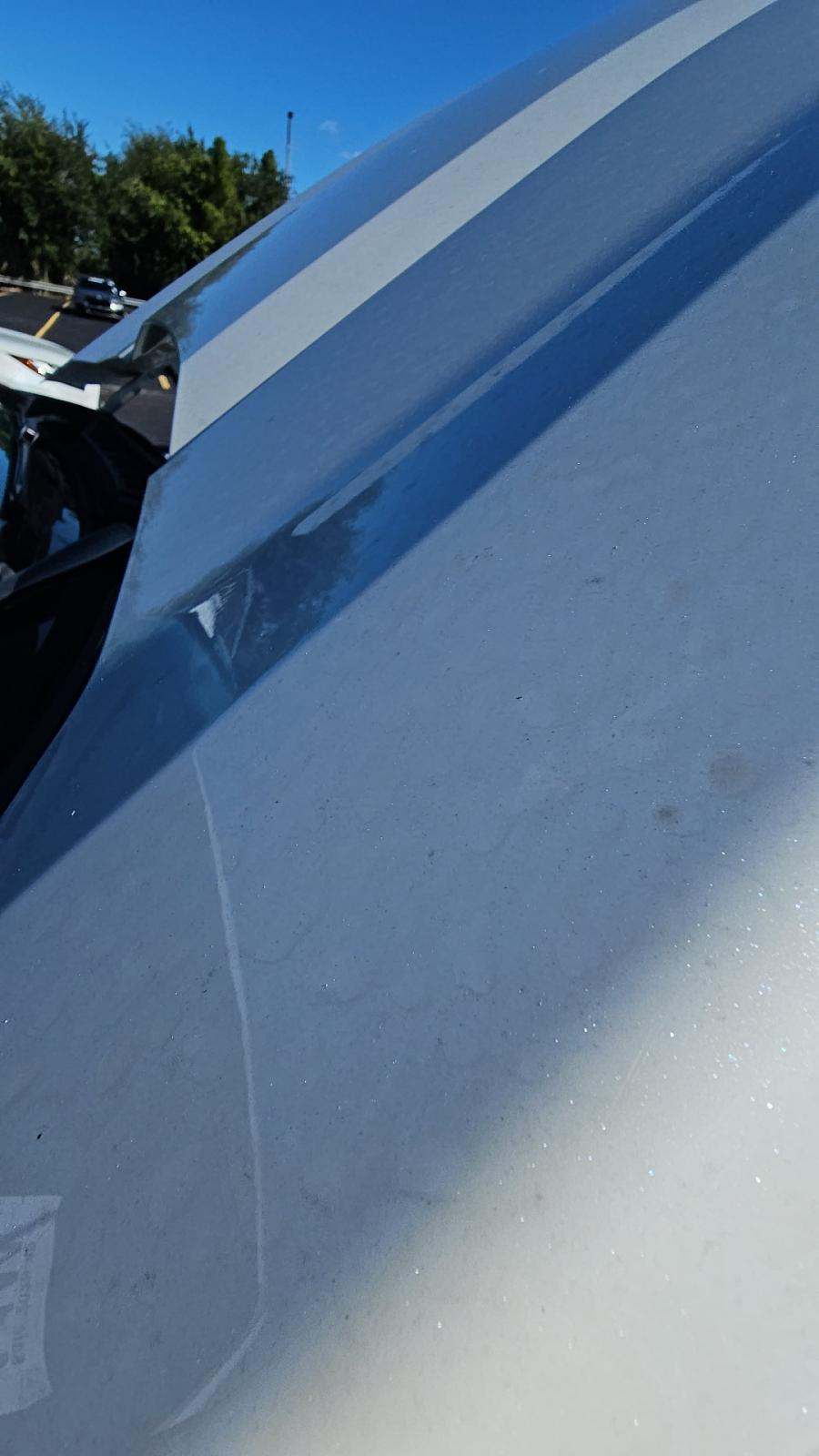 2024 Ford F-150 XL RWD