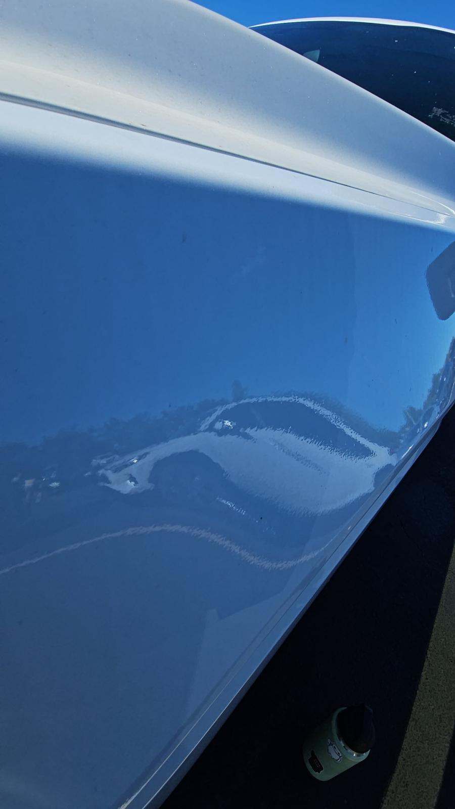 2024 Ford F-150 XL RWD