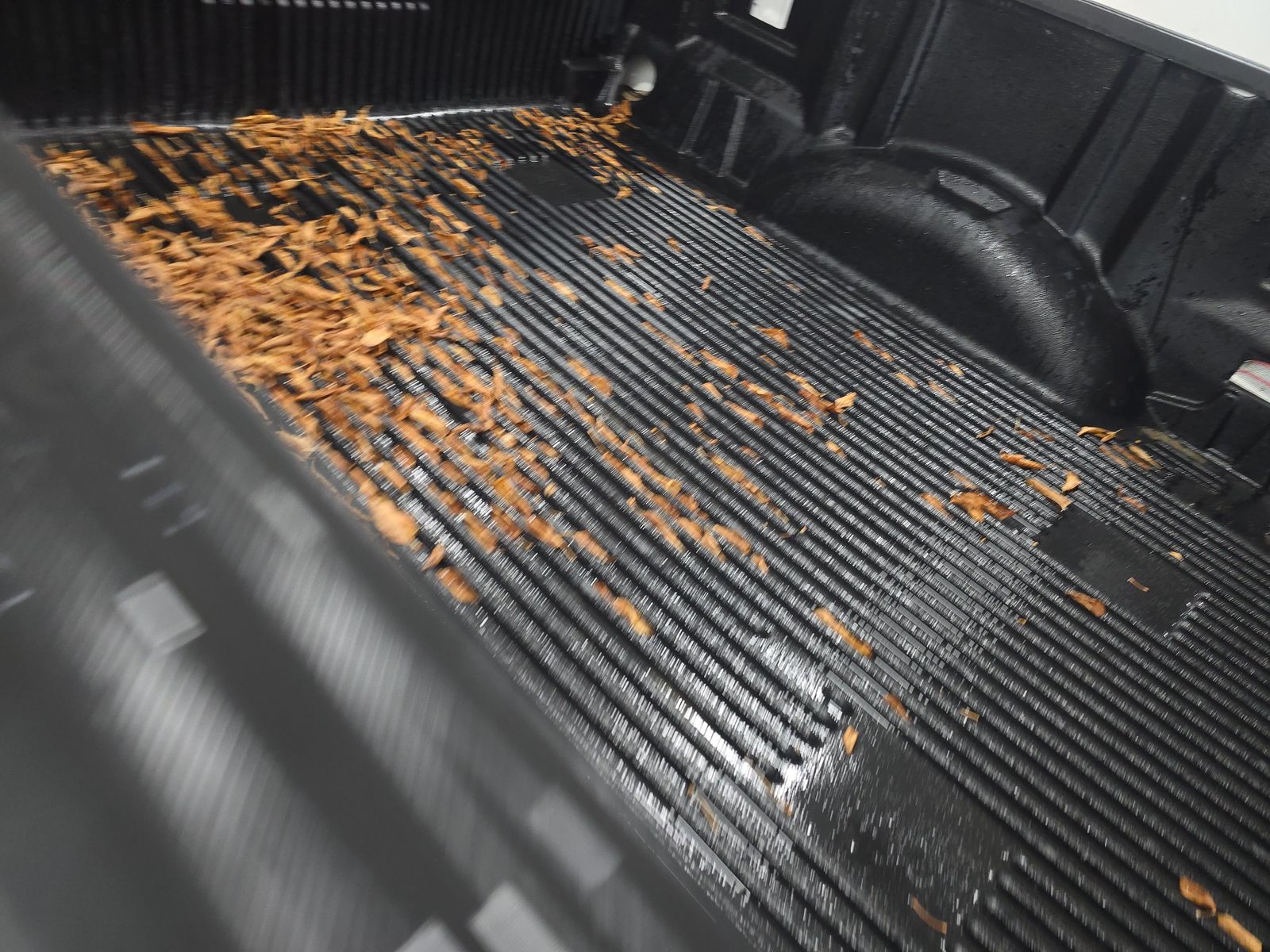 2024 Ford F-150 XLT AWD