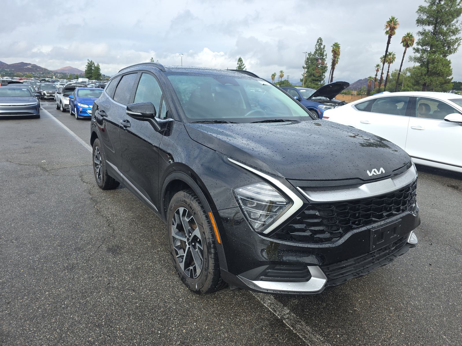 2024 Kia Sportage Hybrid EX AWD