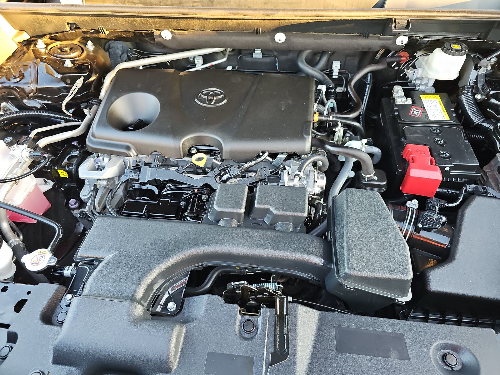 2023 Toyota RAV4 LE FWD