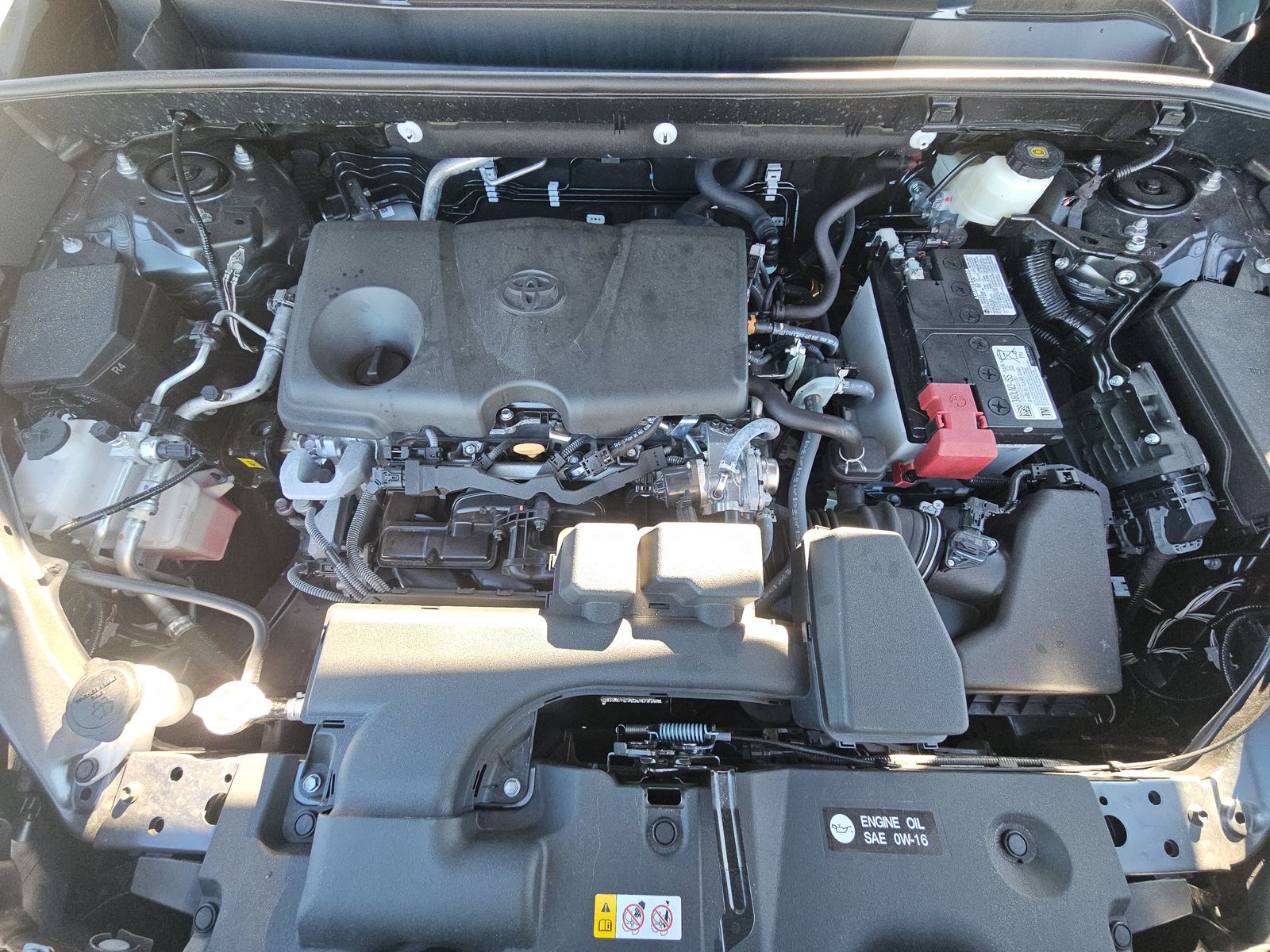 2025 Toyota RAV4 XLE FWD