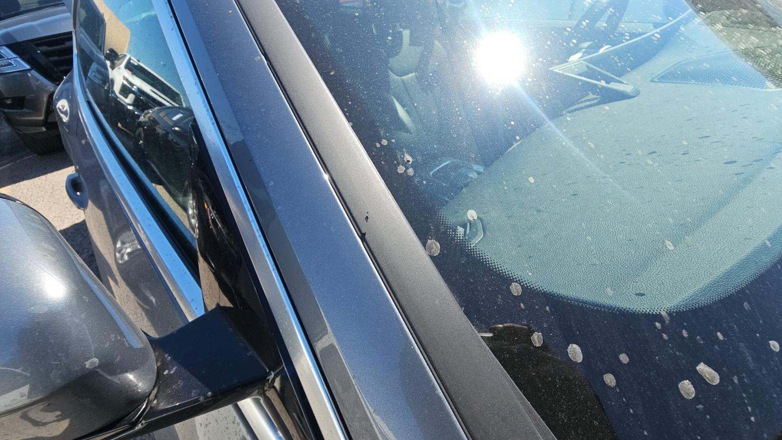 2025 BMW 4 Series 430i RWD