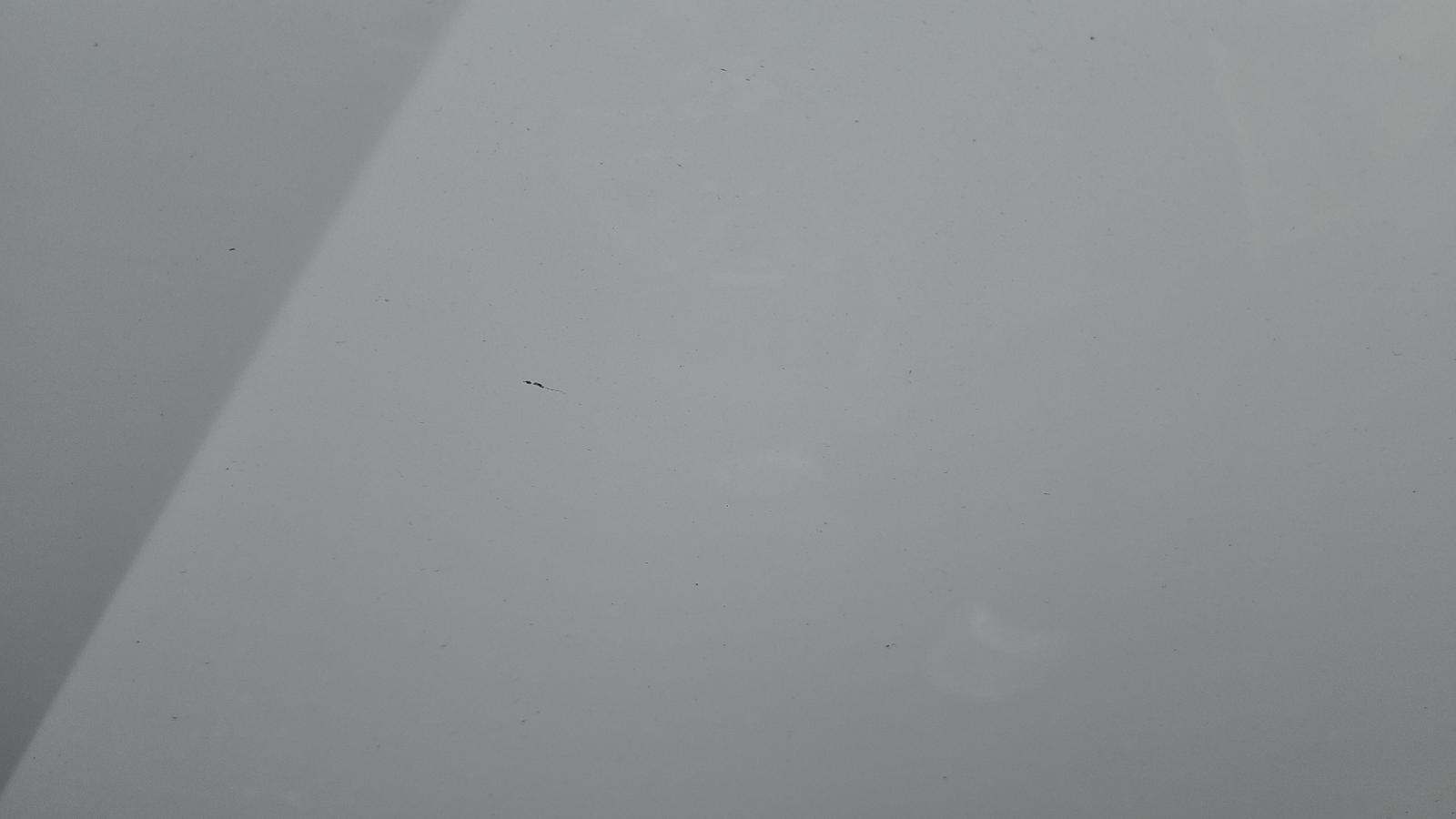 2025 Hyundai Tucson Hybrid Blue AWD