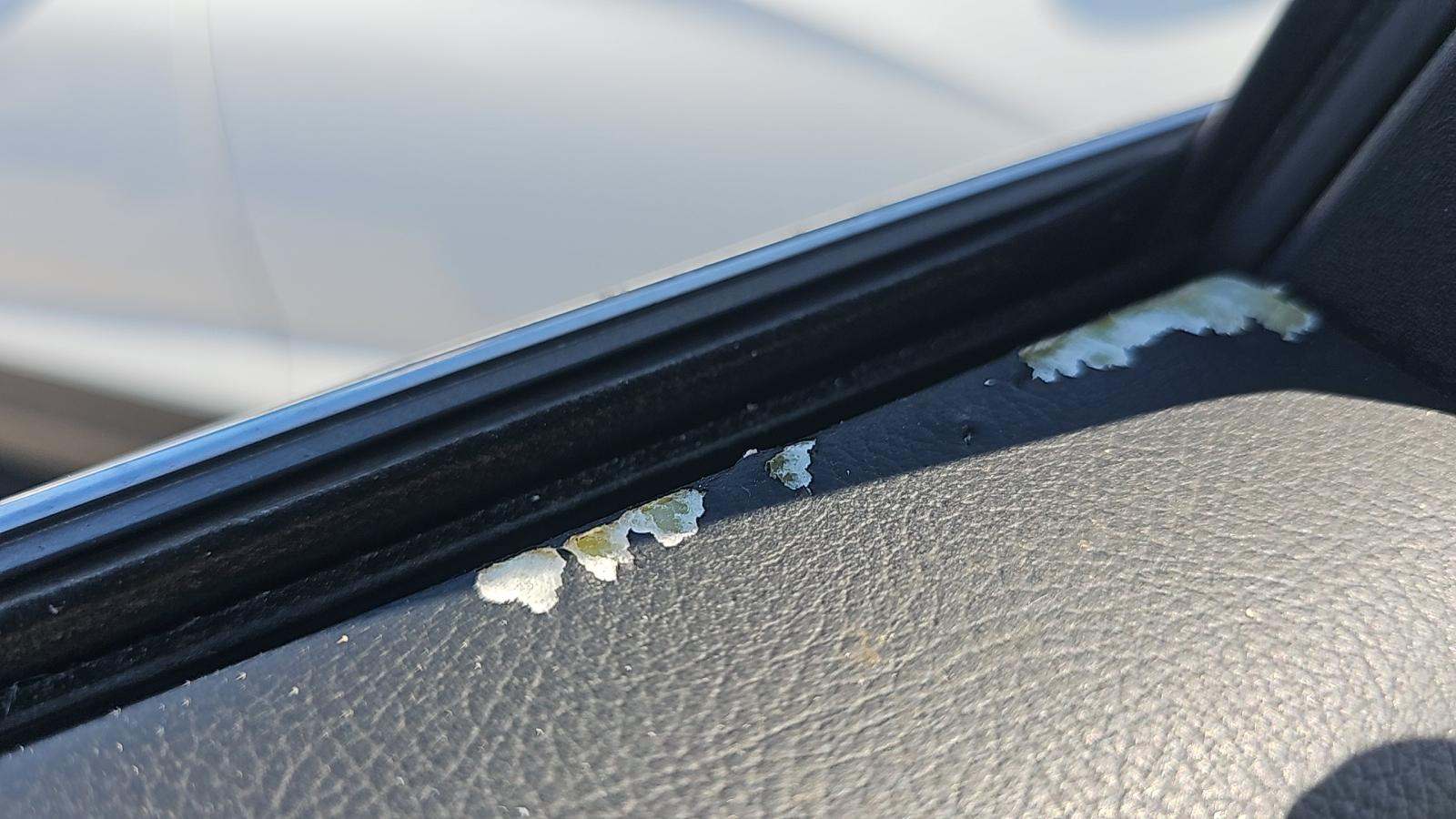 2019 Ford Fusion Titanium AWD